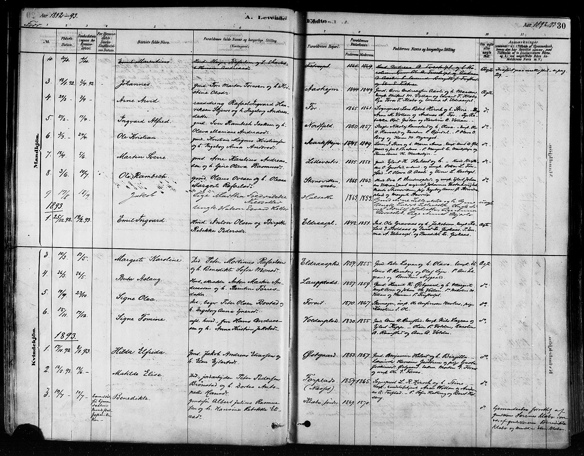 Ministerialprotokoller, klokkerbøker og fødselsregistre - Nord-Trøndelag, AV/SAT-A-1458/746/L0448: Parish register (official) no. 746A07 /1, 1878-1900, p. 30