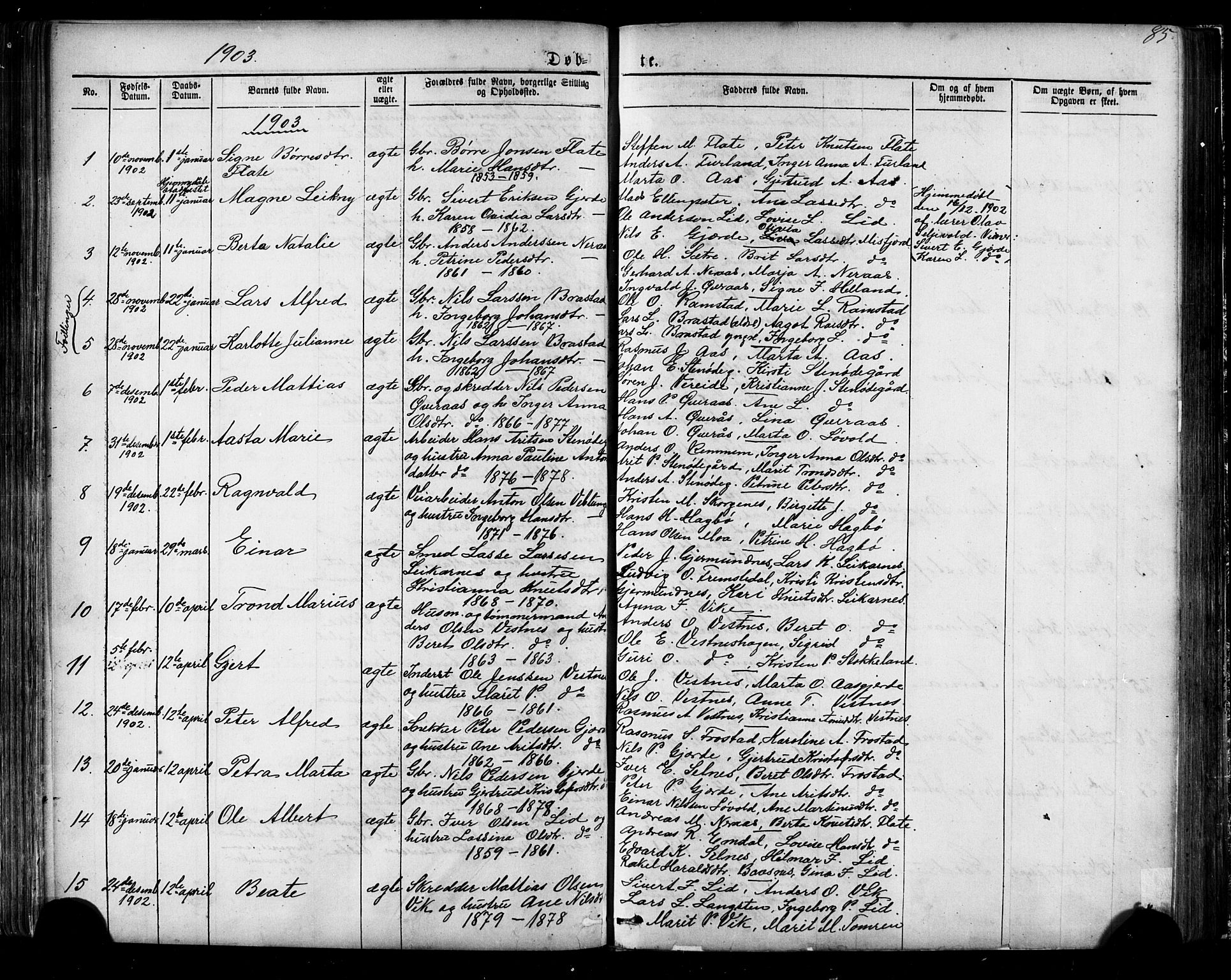 Ministerialprotokoller, klokkerbøker og fødselsregistre - Møre og Romsdal, AV/SAT-A-1454/539/L0536: Parish register (copy) no. 539C02, 1867-1913, p. 85