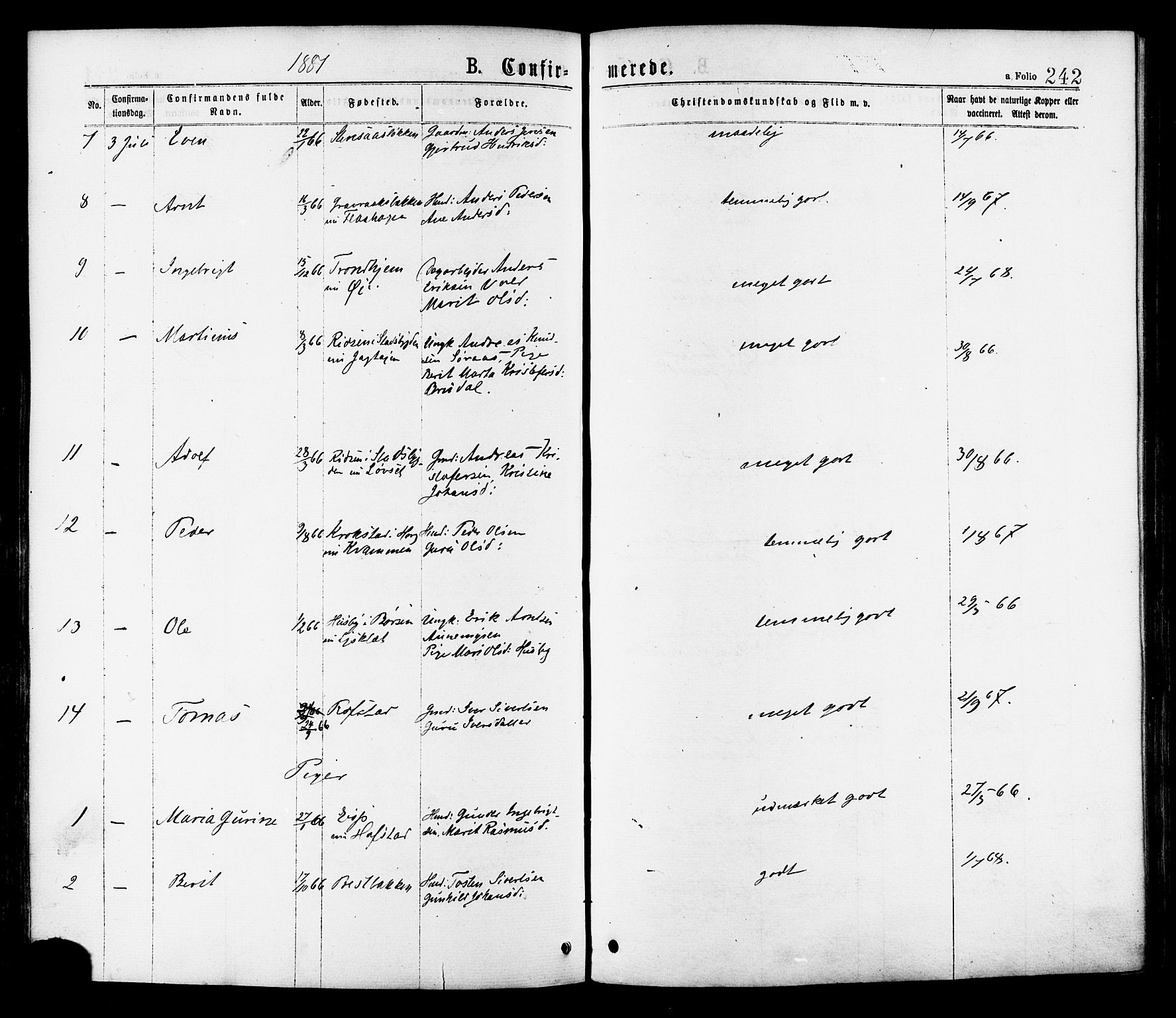 Ministerialprotokoller, klokkerbøker og fødselsregistre - Sør-Trøndelag, AV/SAT-A-1456/691/L1079: Parish register (official) no. 691A11, 1873-1886, p. 242