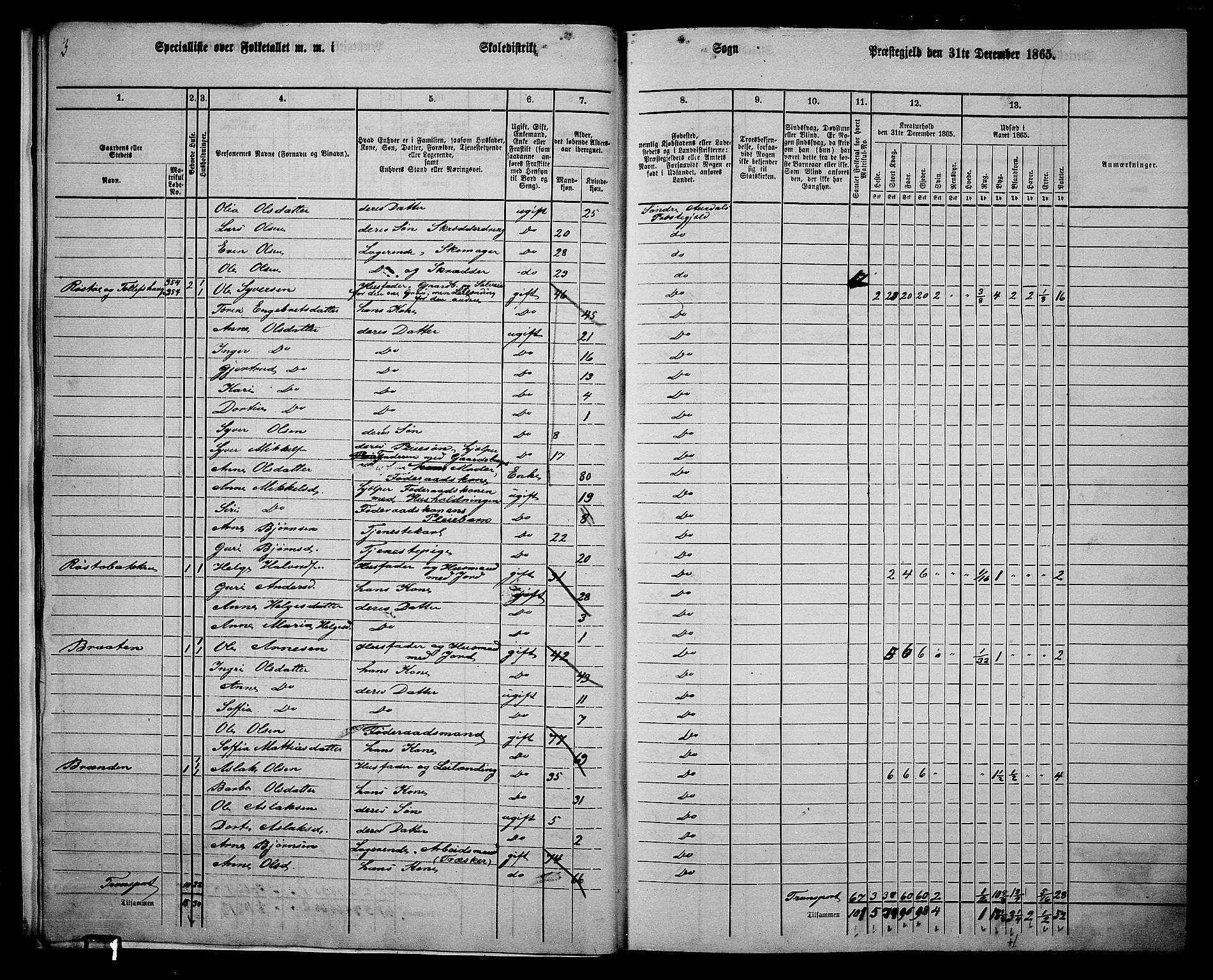 RA, 1865 census for Sør-Aurdal, 1865, p. 19