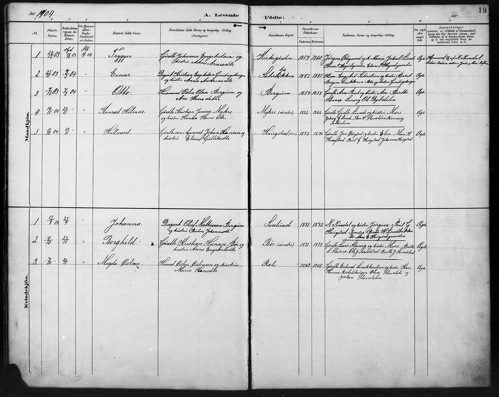 Ringebu prestekontor, SAH/PREST-082/H/Ha/Hab/L0008: Parish register (copy) no. 8, 1890-1922, p. 19