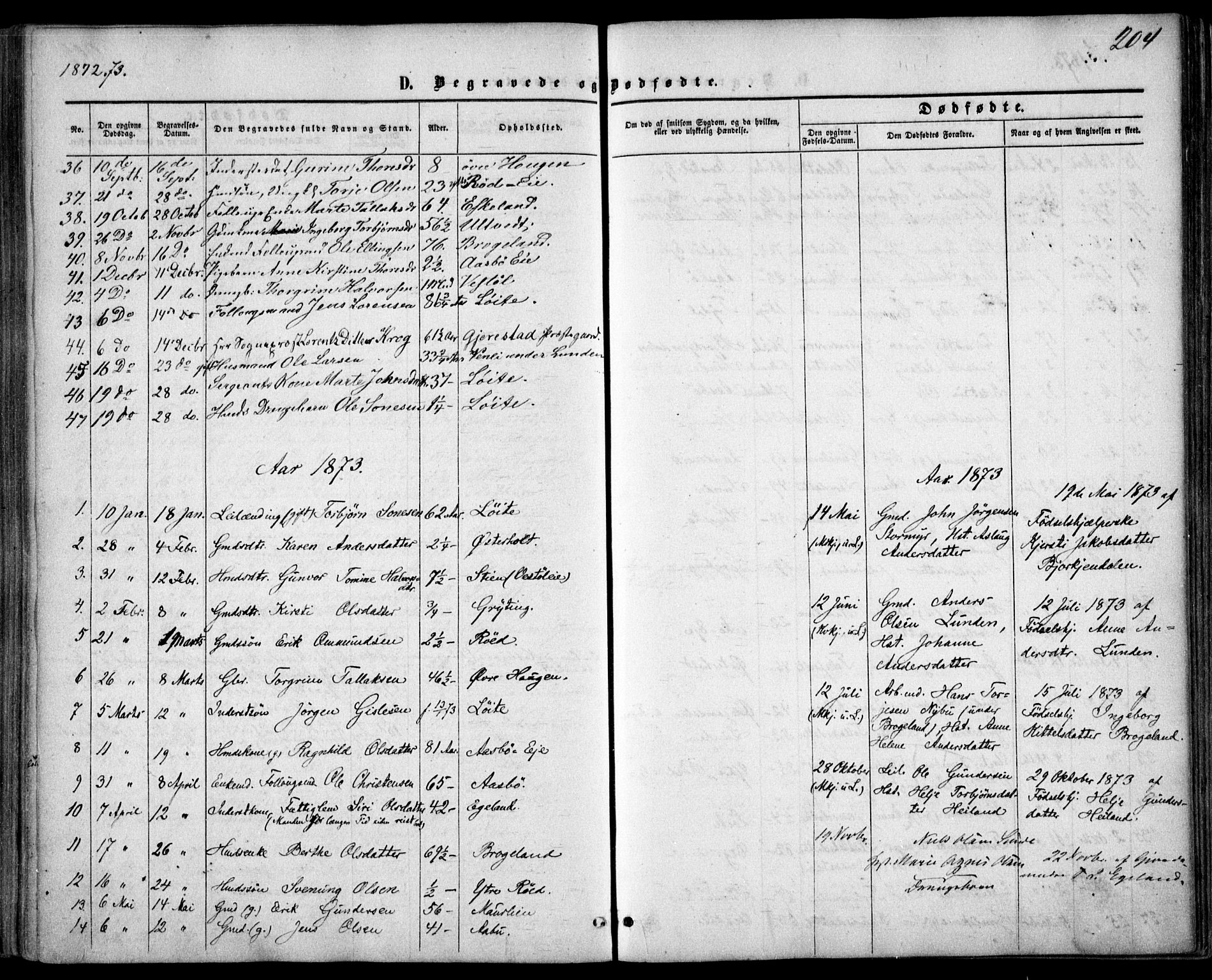 Gjerstad sokneprestkontor, AV/SAK-1111-0014/F/Fa/Faa/L0007: Parish register (official) no. A 7, 1858-1875, p. 204