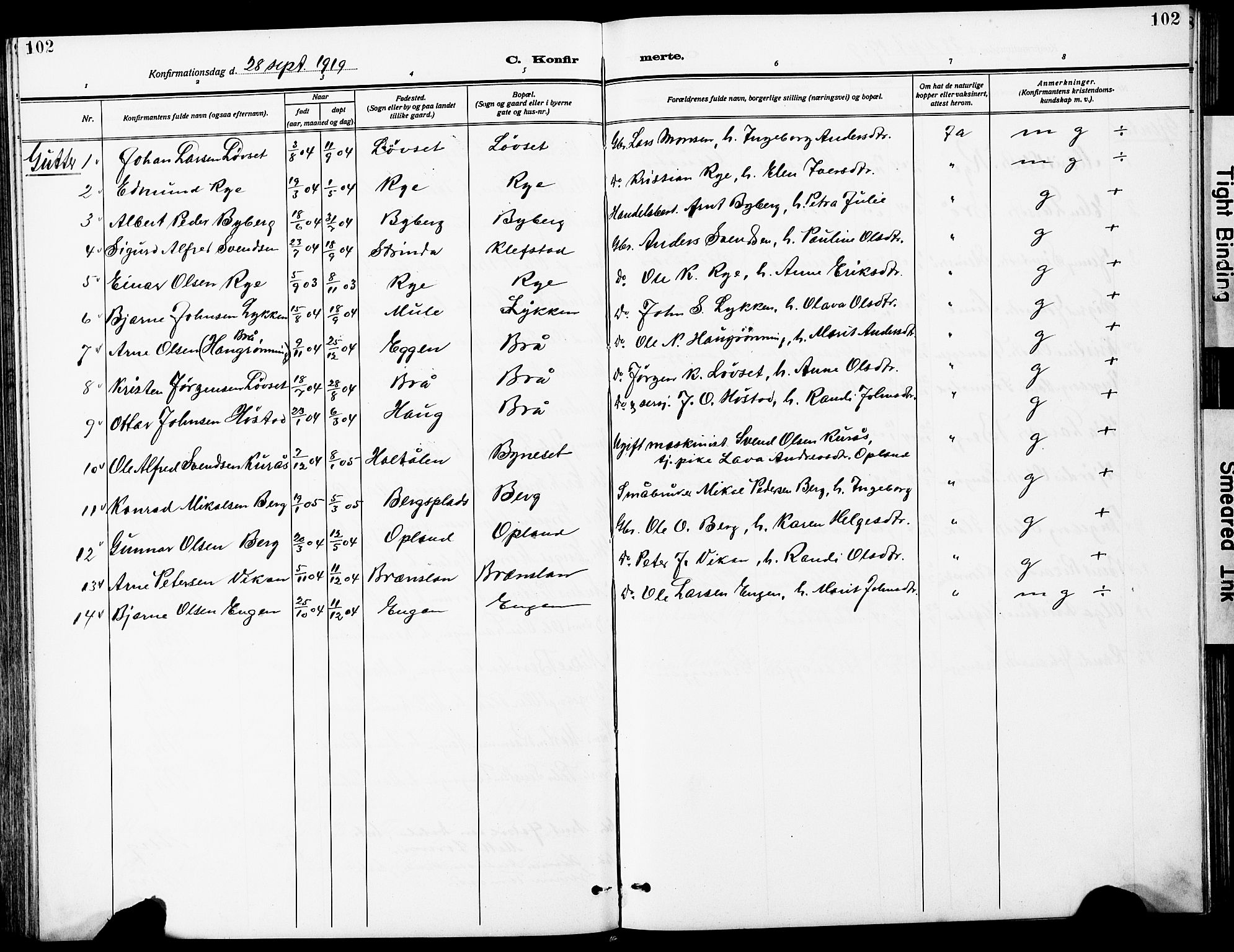 Ministerialprotokoller, klokkerbøker og fødselsregistre - Sør-Trøndelag, SAT/A-1456/612/L0388: Parish register (copy) no. 612C04, 1909-1929, p. 102