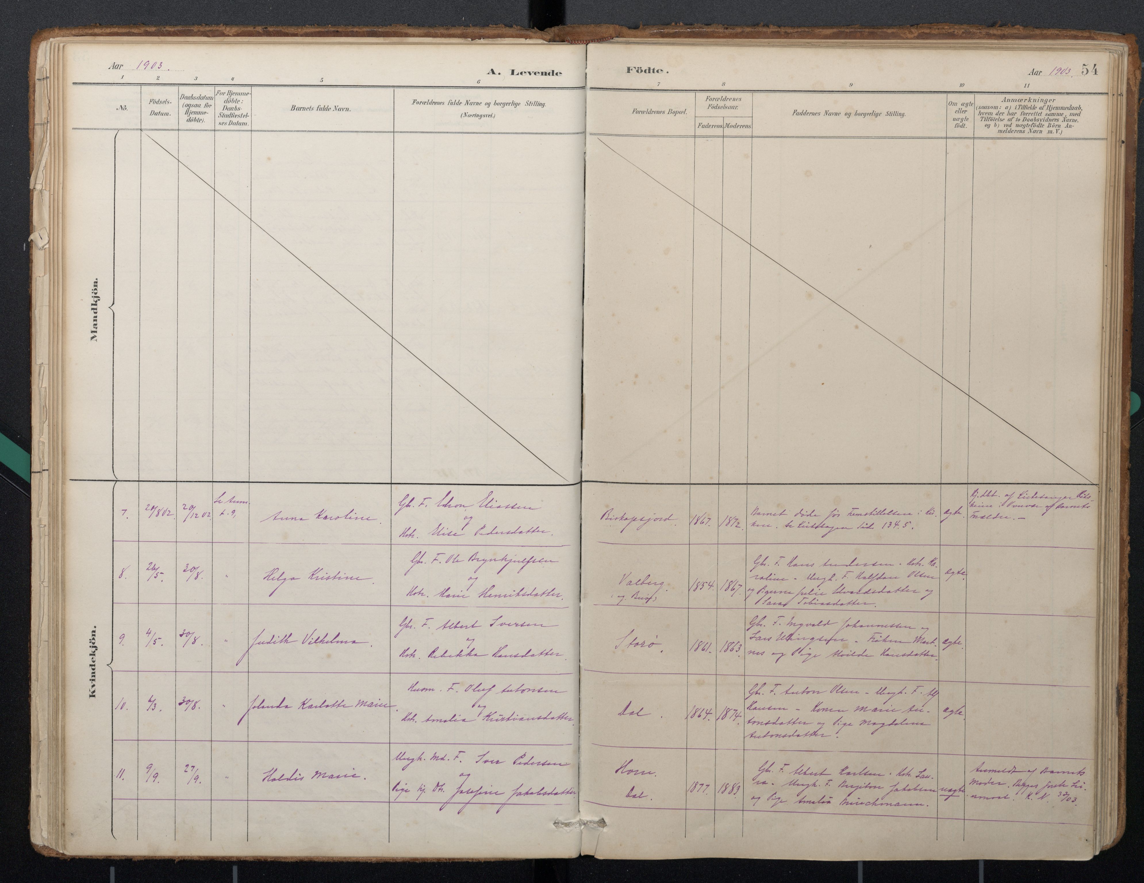 Ministerialprotokoller, klokkerbøker og fødselsregistre - Nordland, AV/SAT-A-1459/884/L1193: Parish register (official) no. 884A01, 1888-1905, p. 54