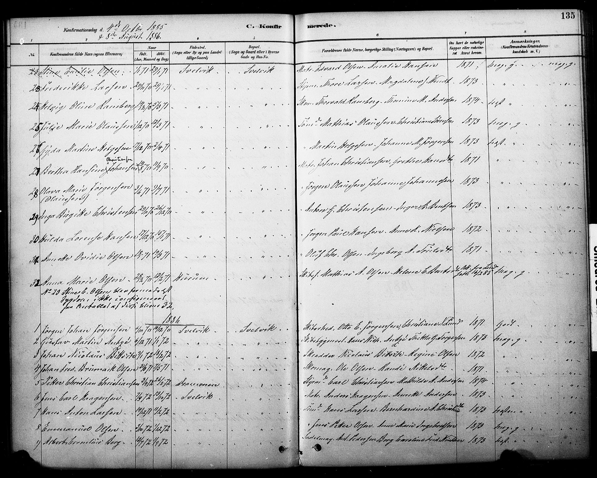 Strømm kirkebøker, AV/SAKO-A-322/F/Fb/L0001: Parish register (official) no. II 1, 1878-1899, p. 135