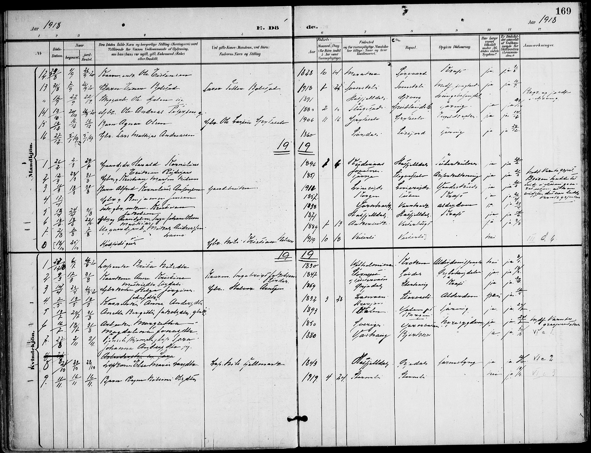 Ministerialprotokoller, klokkerbøker og fødselsregistre - Nordland, AV/SAT-A-1459/823/L0326: Parish register (official) no. 823A03, 1899-1919, p. 169