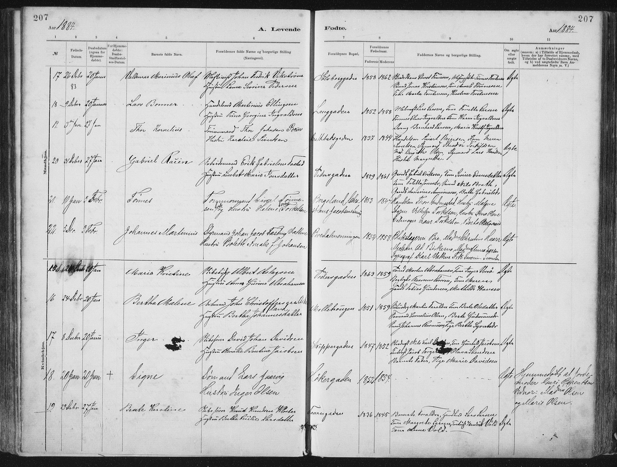 St. Petri sokneprestkontor, AV/SAST-A-101813/001/30/30BA/L0015: Parish register (official) no. A 15, 1879-1888, p. 207