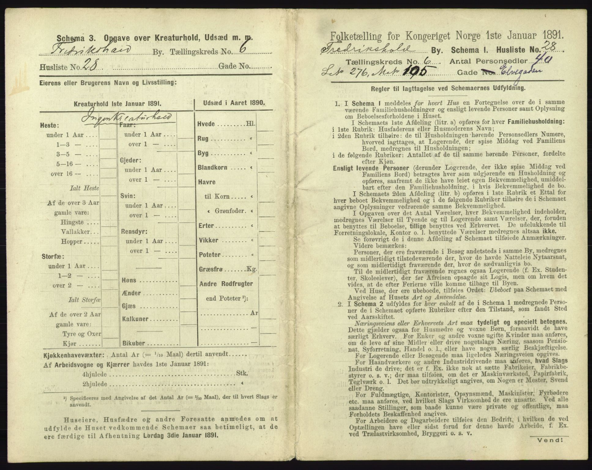 RA, 1891 census for 0101 Fredrikshald, 1891, p. 636