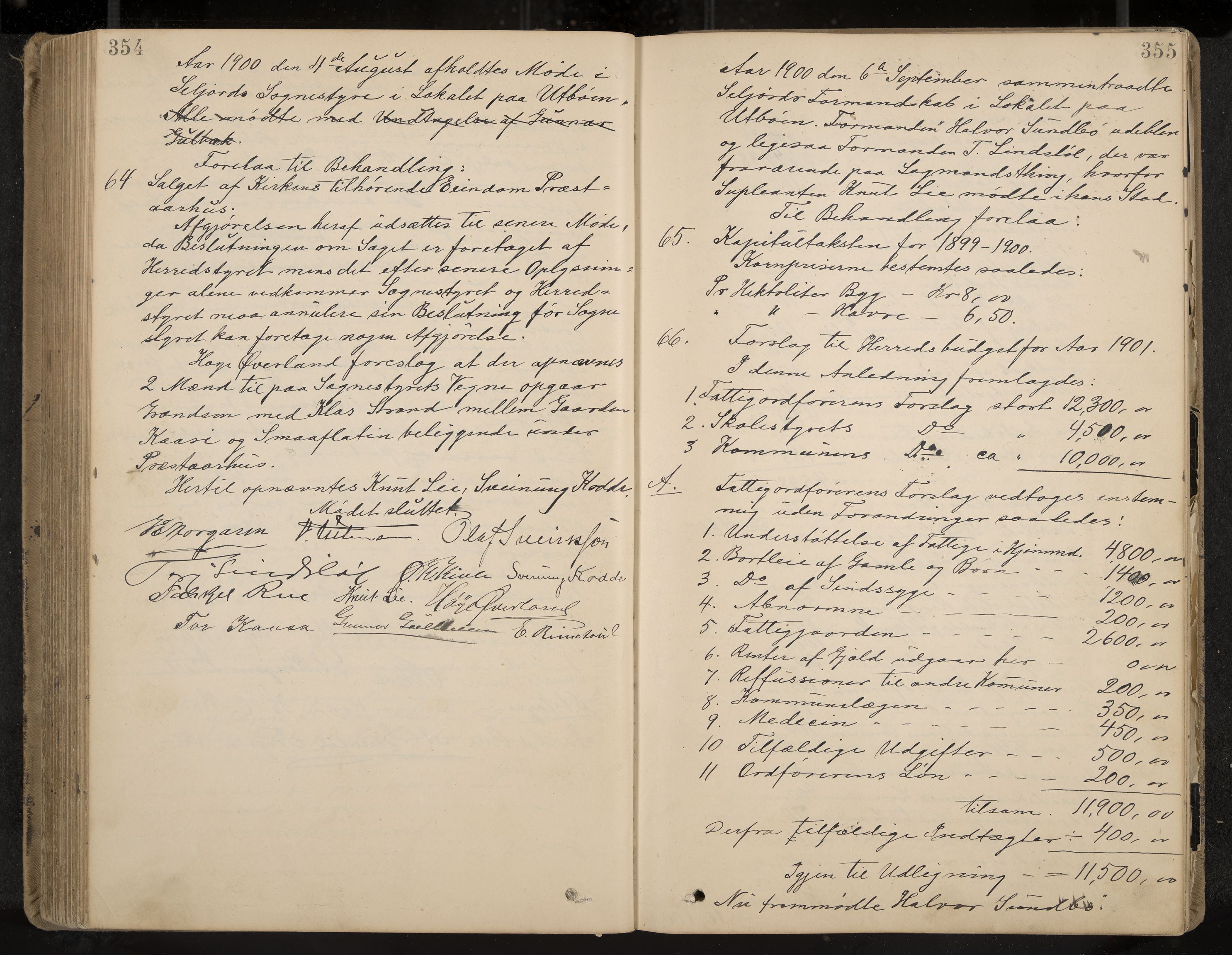 Seljord formannskap og sentraladministrasjon, IKAK/0828021/A/Aa/L0003: Møtebok med register, 1891-1905, p. 354-355