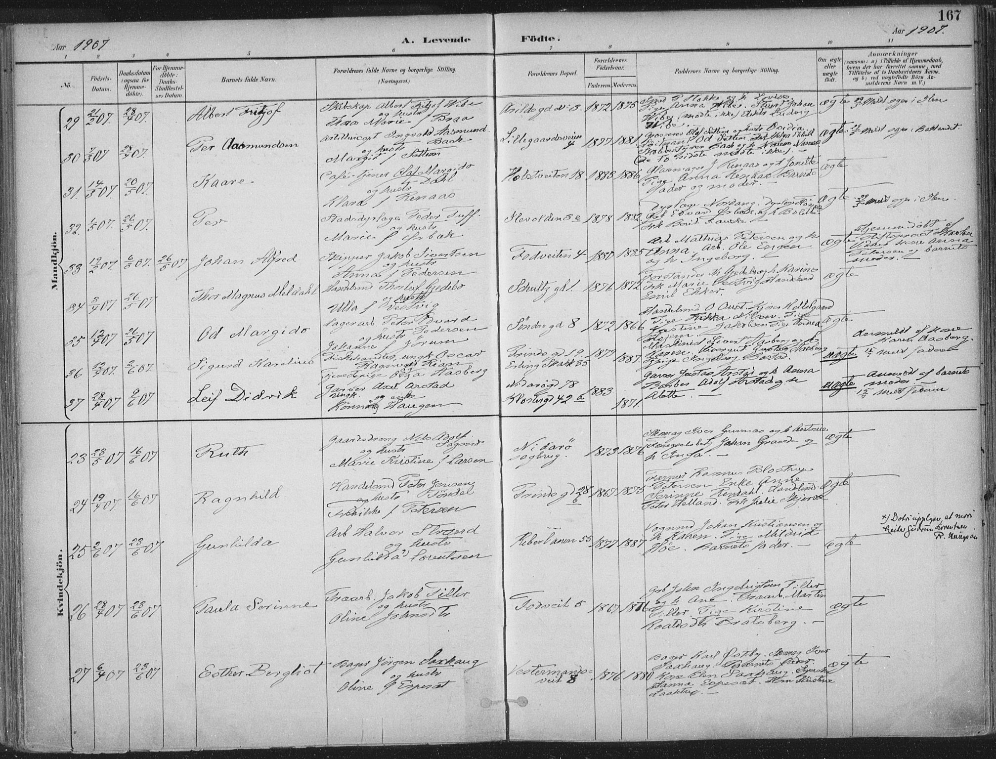 Ministerialprotokoller, klokkerbøker og fødselsregistre - Sør-Trøndelag, AV/SAT-A-1456/601/L0062: Parish register (official) no. 601A30, 1891-1911, p. 167