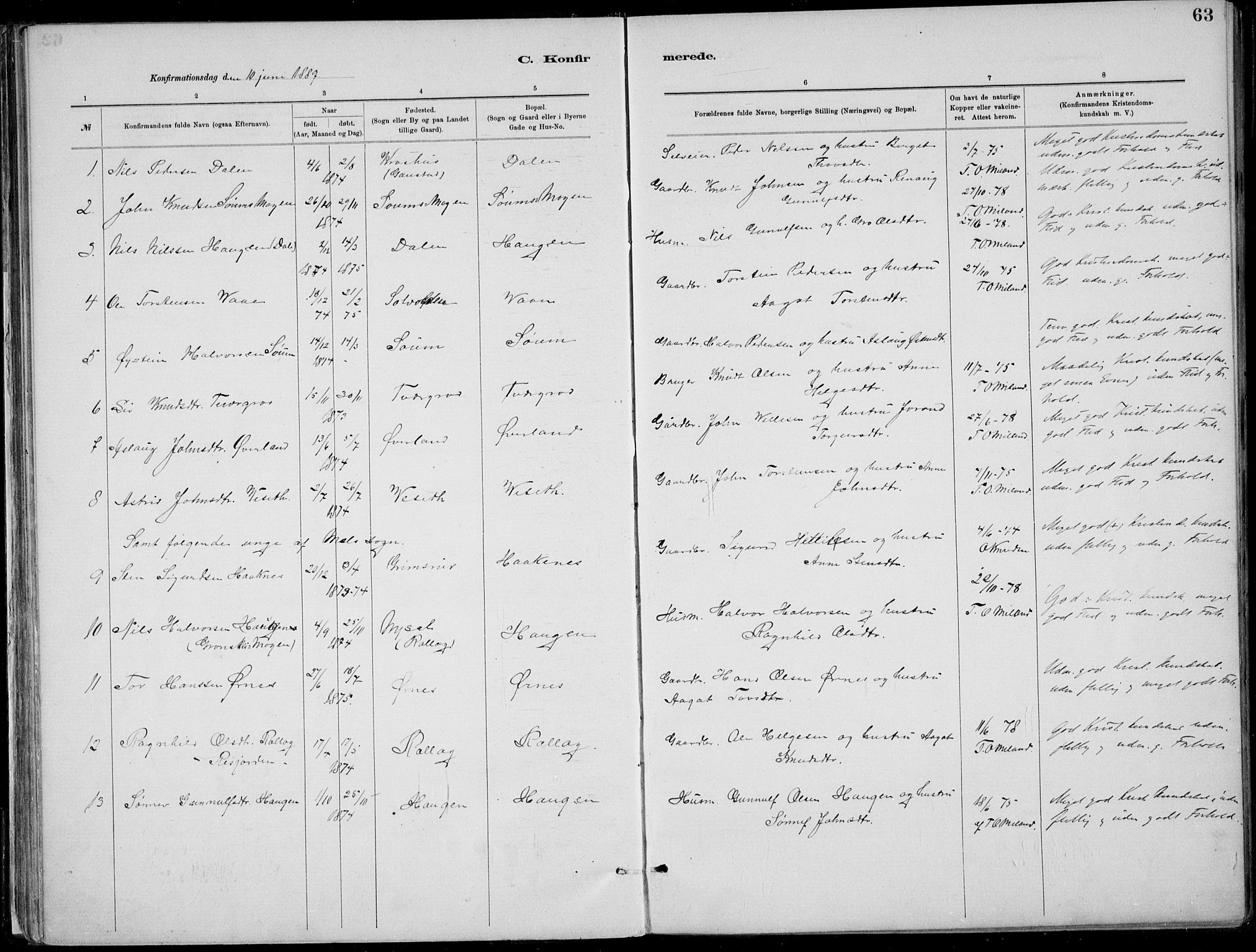 Rjukan kirkebøker, SAKO/A-294/F/Fa/L0001: Parish register (official) no. 1, 1878-1912, p. 63
