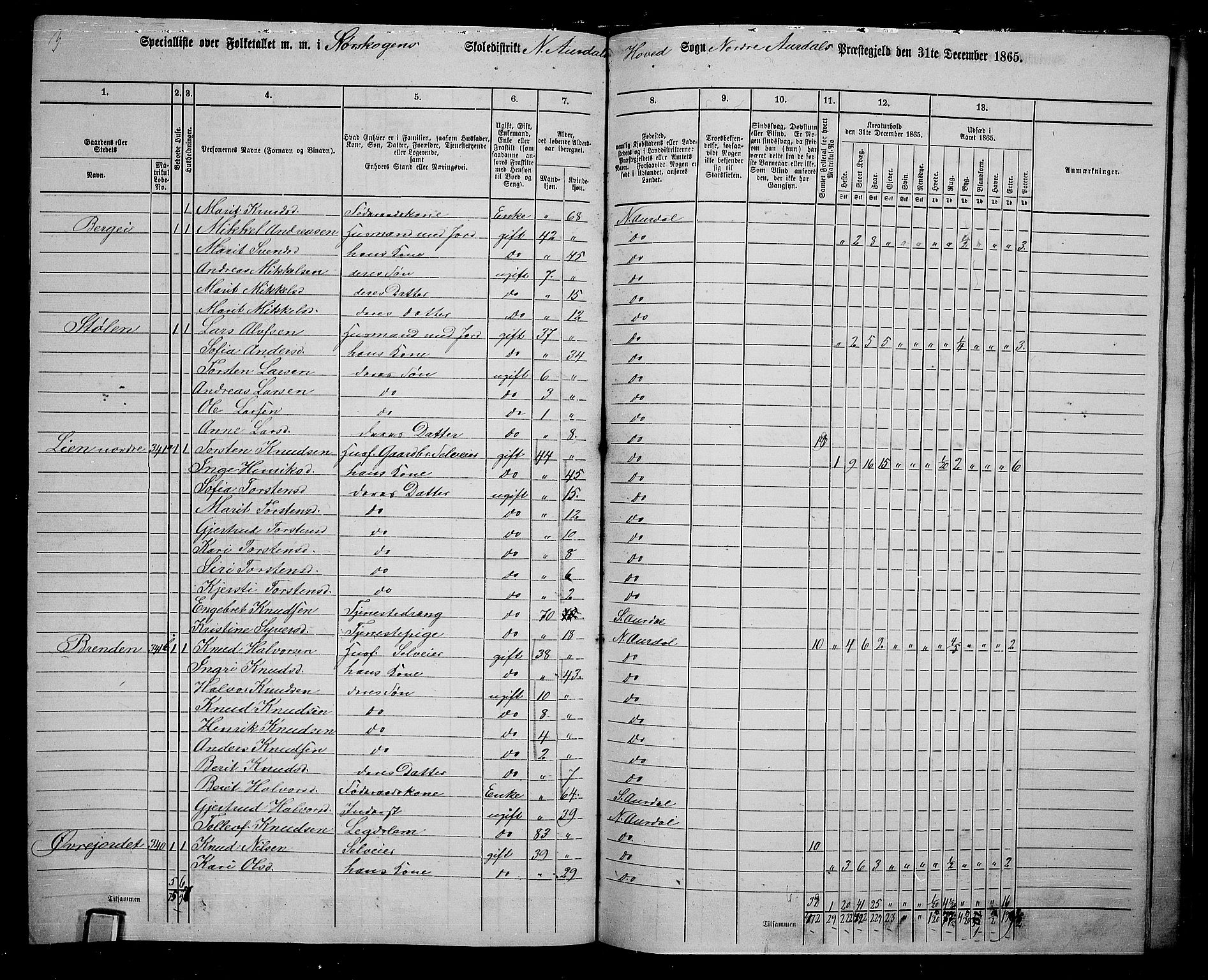 RA, 1865 census for Nord-Aurdal, 1865, p. 210