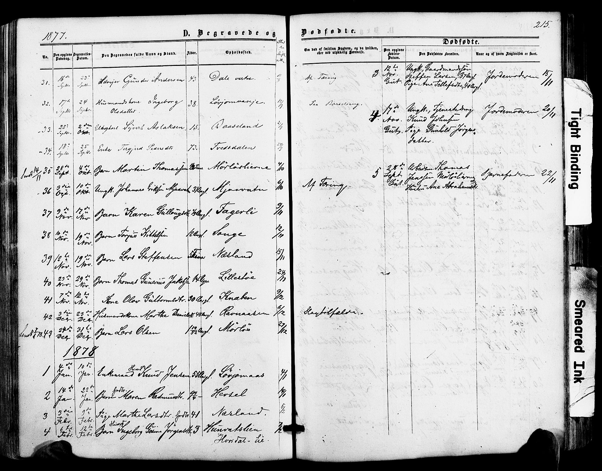 Froland sokneprestkontor, SAK/1111-0013/F/Fa/L0003: Parish register (official) no. A 3, 1864-1881, p. 215