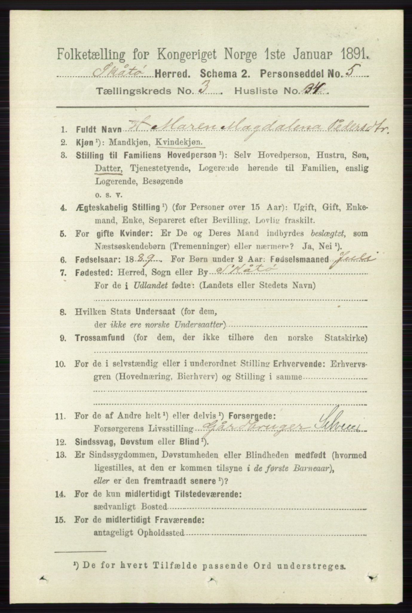 RA, 1891 census for 0815 Skåtøy, 1891, p. 667