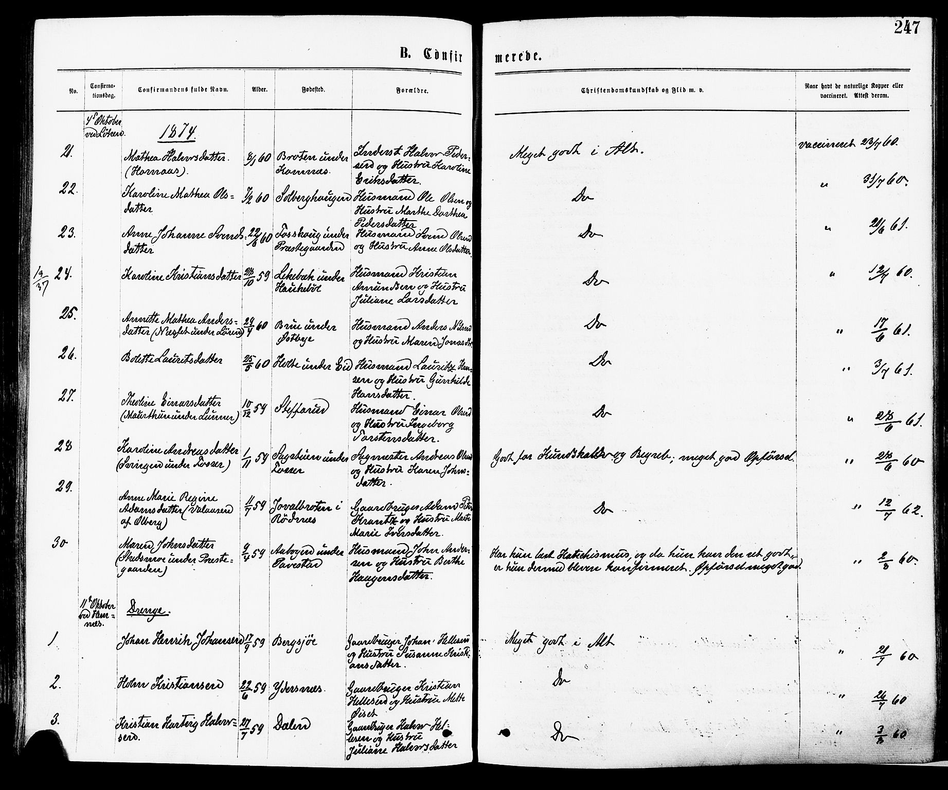 Høland prestekontor Kirkebøker, AV/SAO-A-10346a/F/Fa/L0012.a: Parish register (official) no. I 12A, 1869-1879, p. 247