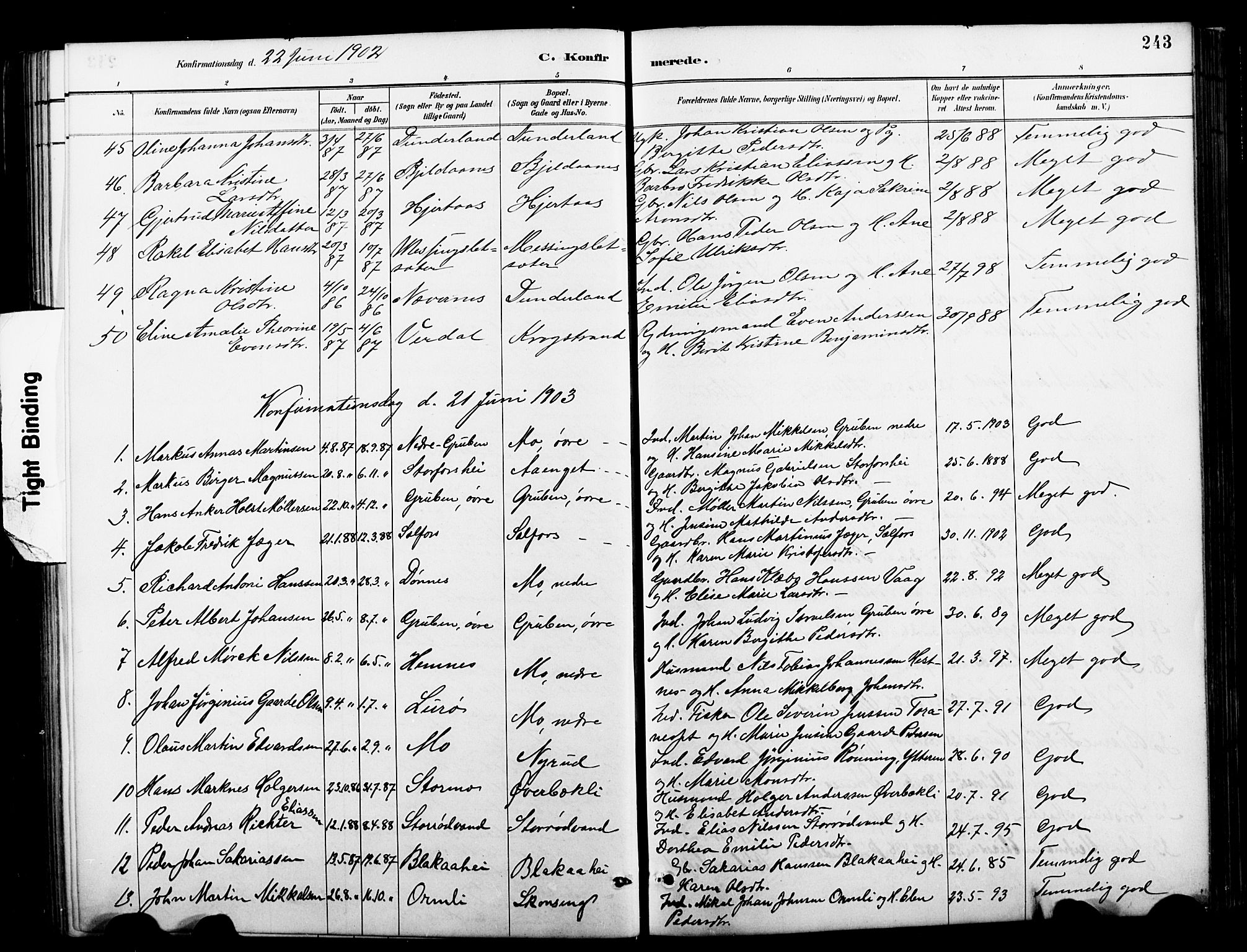 Ministerialprotokoller, klokkerbøker og fødselsregistre - Nordland, SAT/A-1459/827/L0421: Parish register (copy) no. 827C10, 1887-1906, p. 243