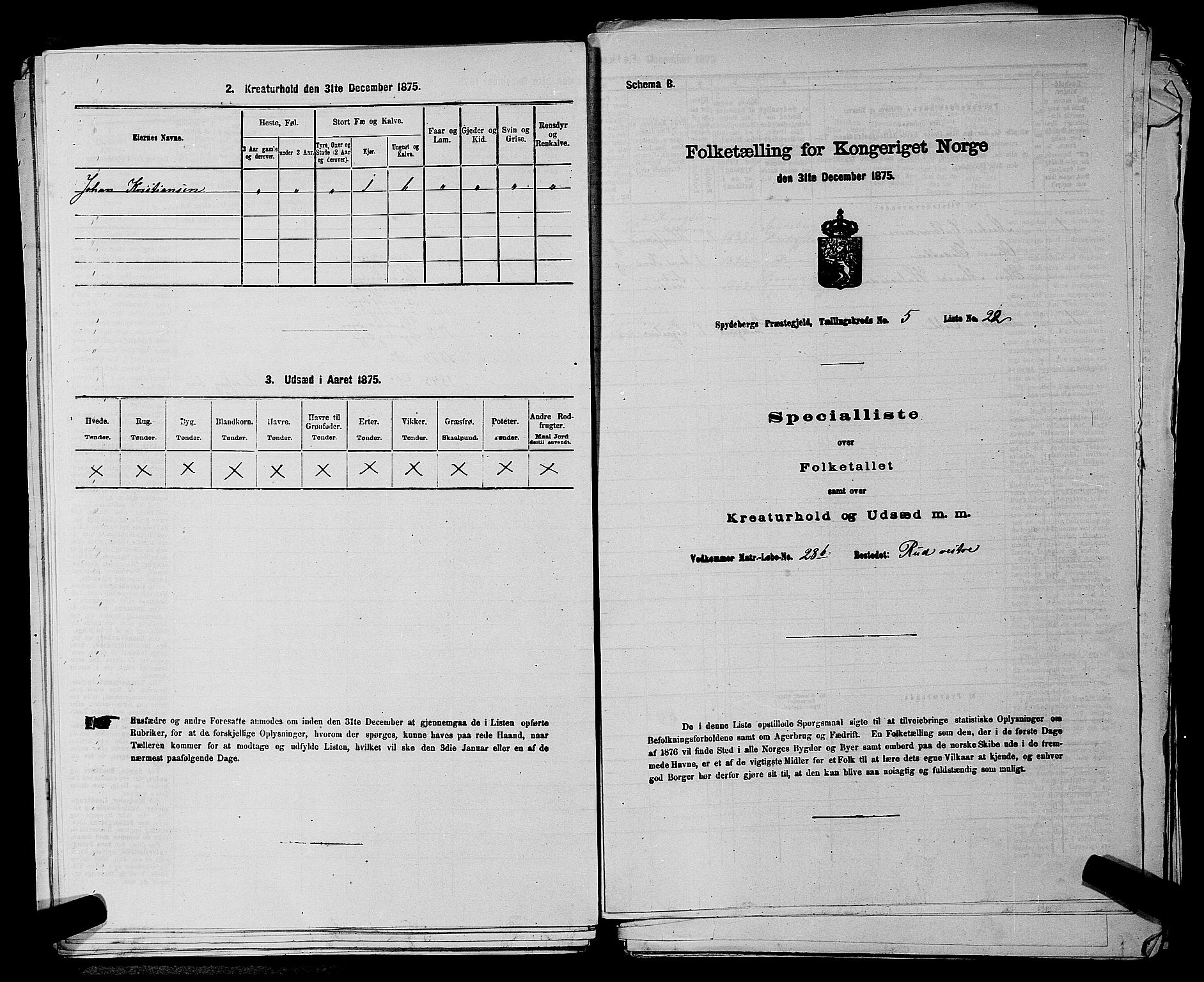 RA, 1875 census for 0123P Spydeberg, 1875, p. 685