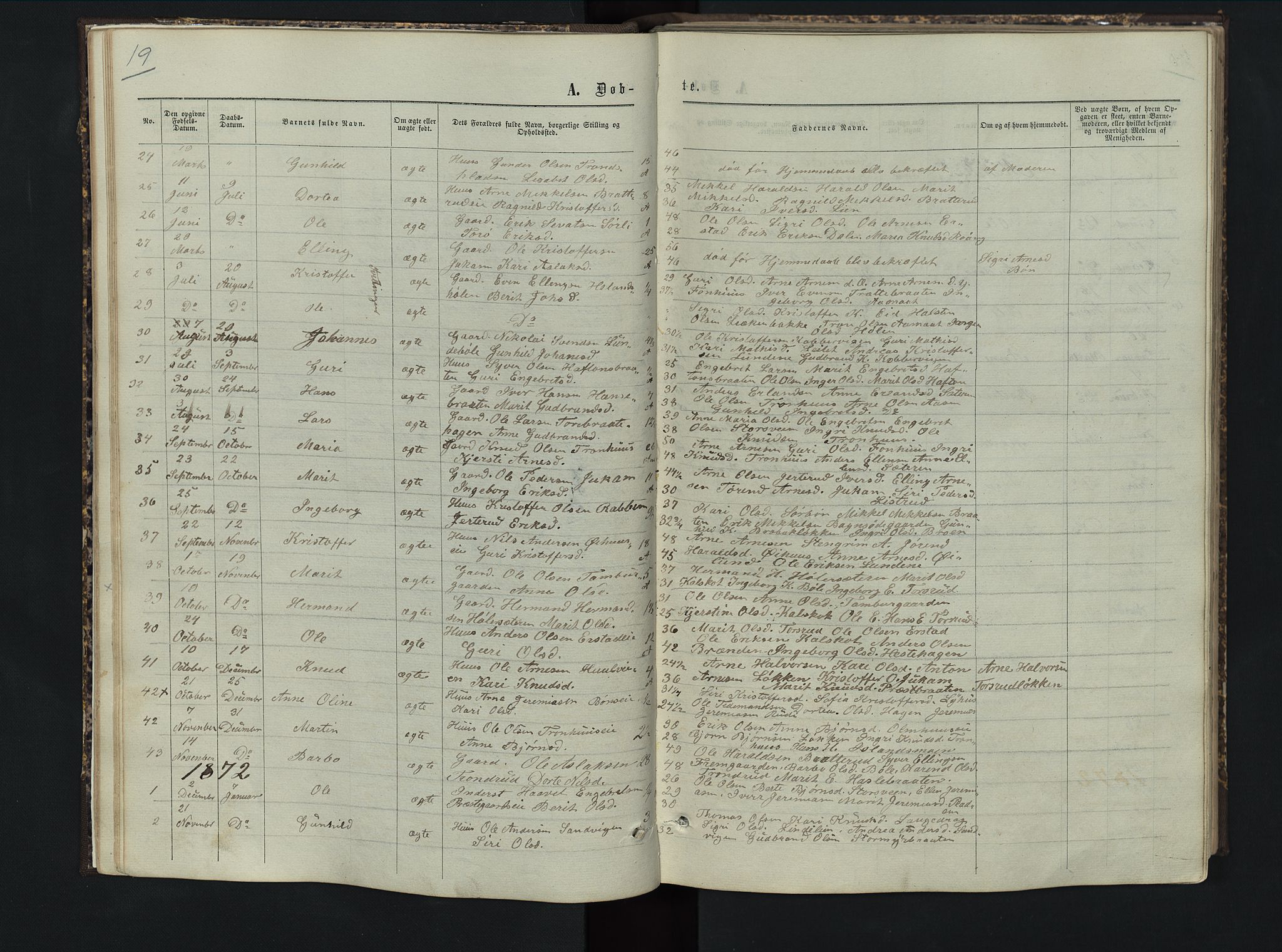 Sør-Aurdal prestekontor, AV/SAH-PREST-128/H/Ha/Hab/L0005: Parish register (copy) no. 5, 1866-1893, p. 19
