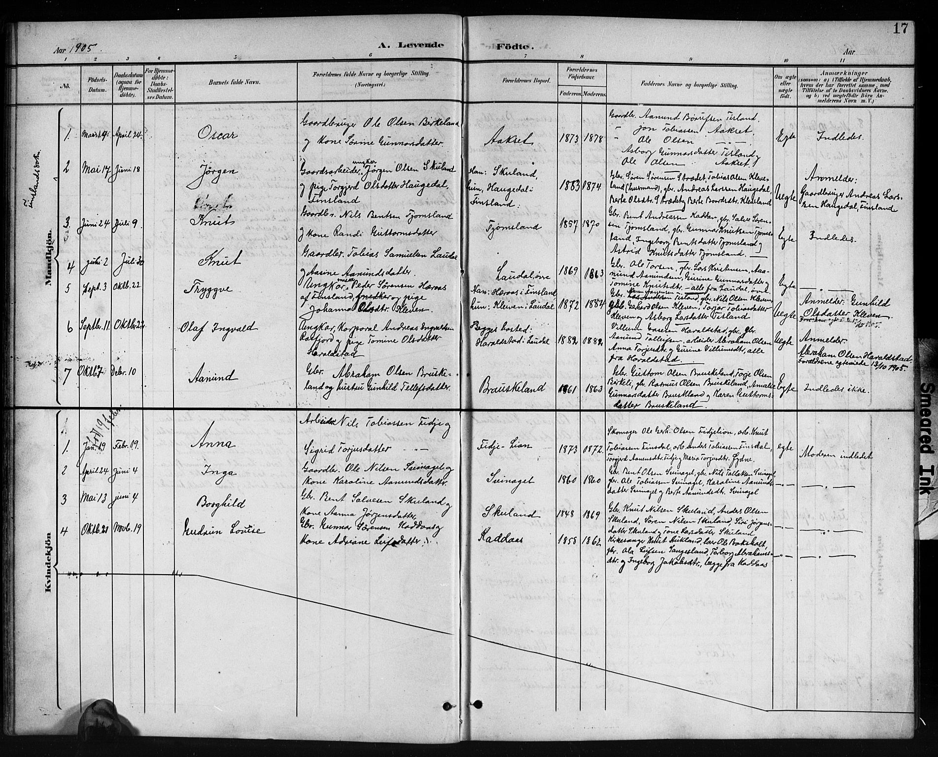 Holum sokneprestkontor, AV/SAK-1111-0022/F/Fb/Fbb/L0004: Parish register (copy) no. B 4, 1899-1920, p. 17