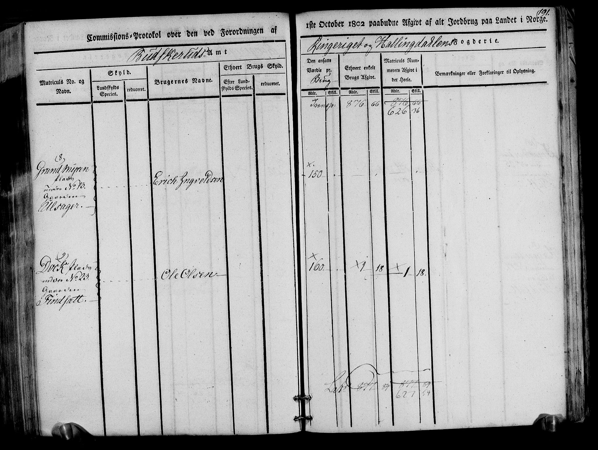 Rentekammeret inntil 1814, Realistisk ordnet avdeling, RA/EA-4070/N/Ne/Nea/L0047: Ringerike og Hallingdal fogderi. Kommisjonsprotokoll for Nes prestegjeld, 1803, p. 194