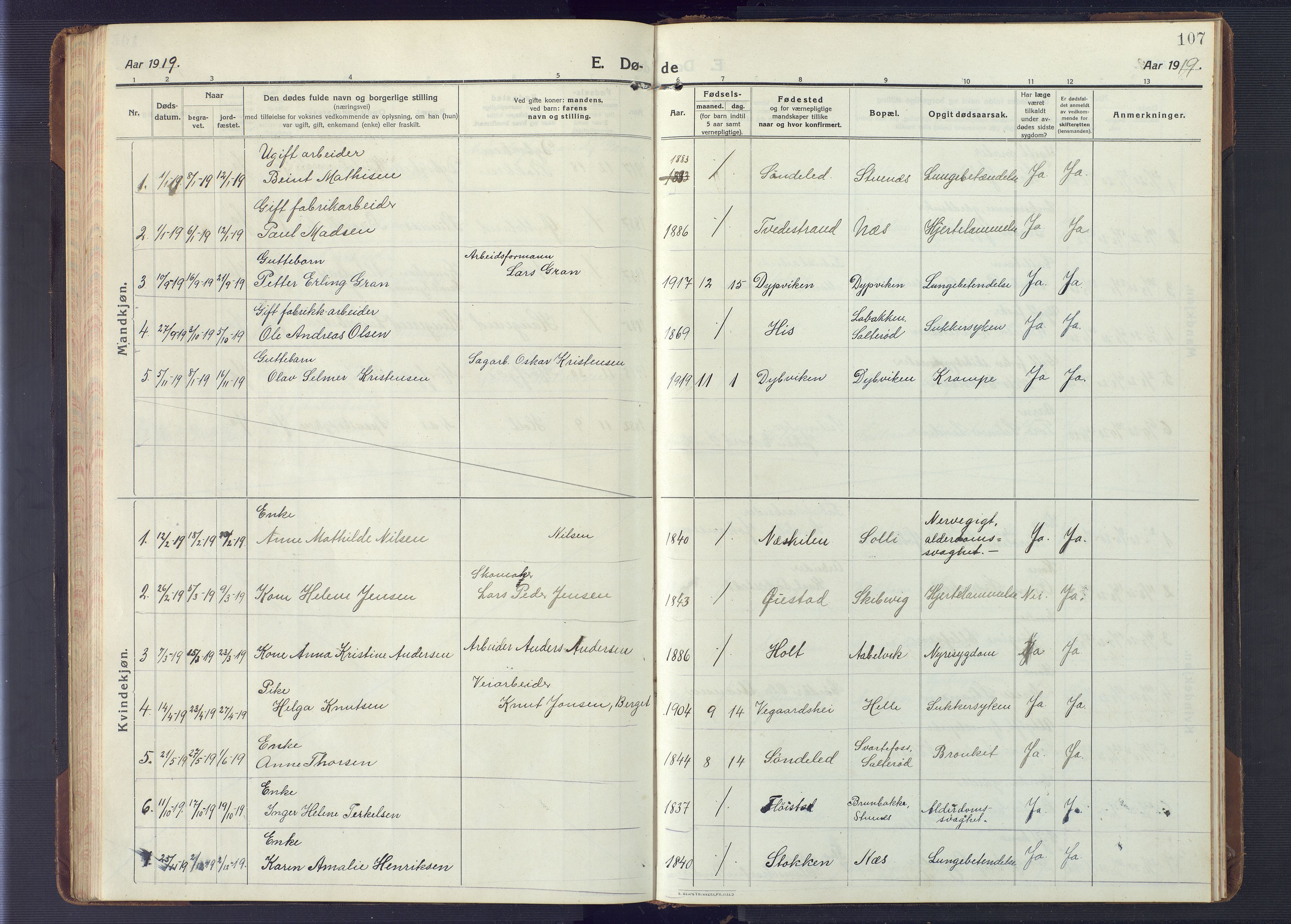 Austre Moland sokneprestkontor, AV/SAK-1111-0001/F/Fb/Fbb/L0004: Parish register (copy) no. B 4, 1914-1929, p. 107