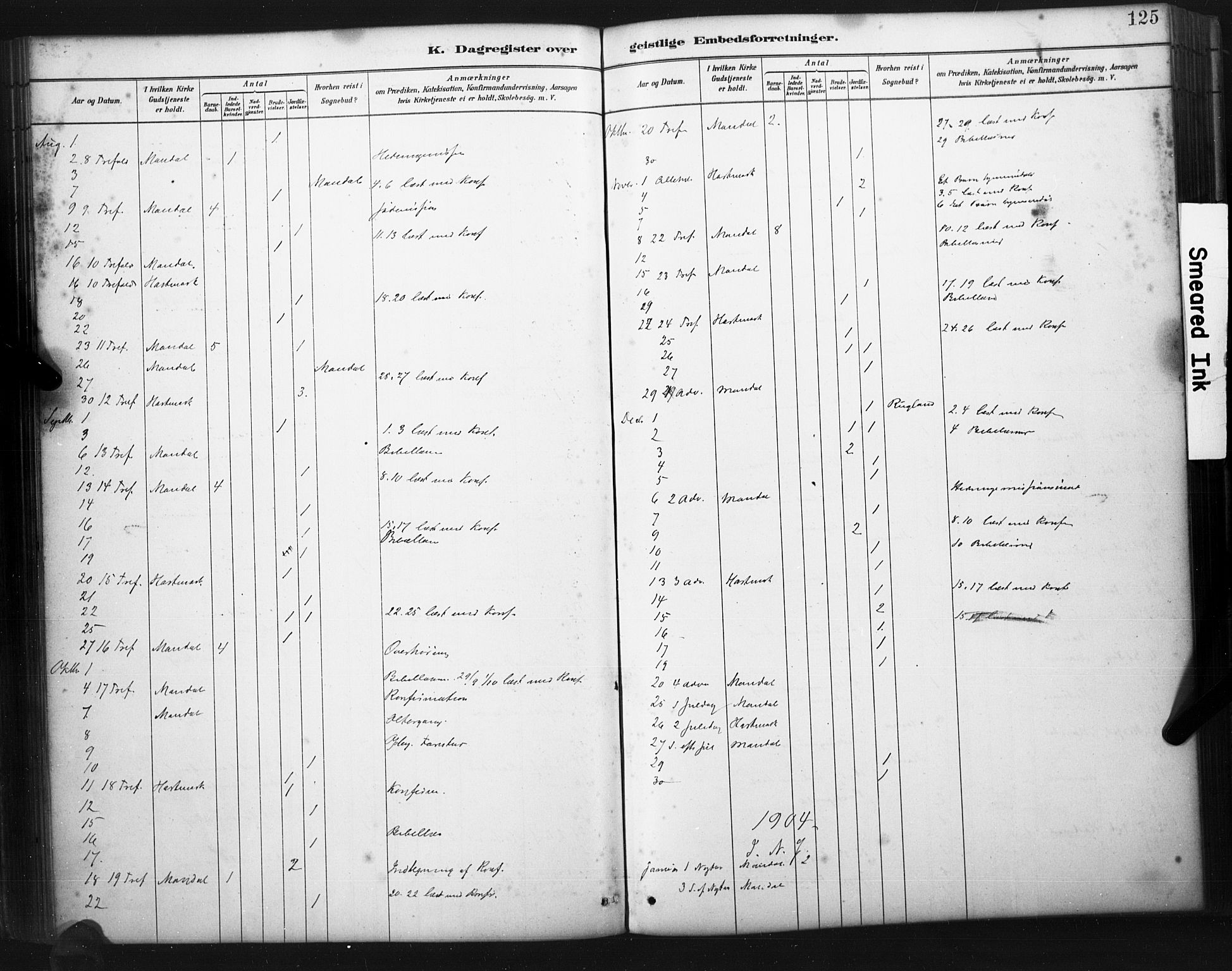 Mandal sokneprestkontor, AV/SAK-1111-0030/F/Fa/Faa/L0017: Parish register (official) no. A 17, 1880-1926, p. 125