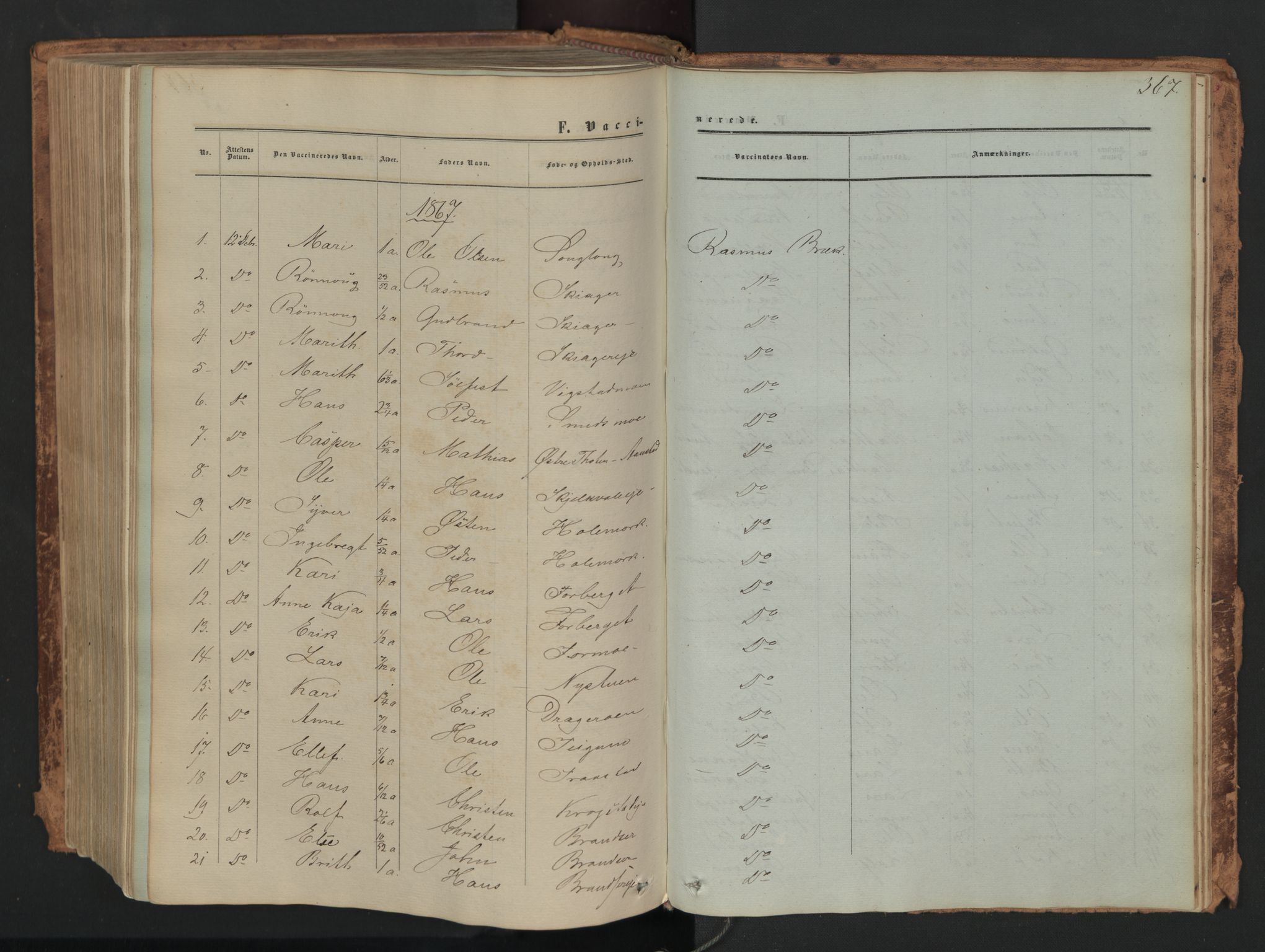 Skjåk prestekontor, SAH/PREST-072/H/Ha/Haa/L0001: Parish register (official) no. 1, 1863-1879, p. 367