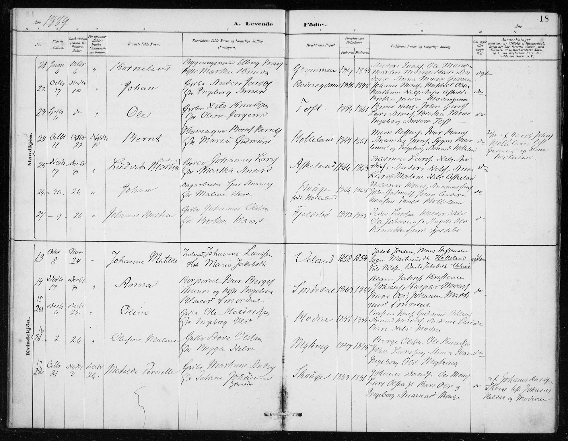 Lindås Sokneprestembete, AV/SAB-A-76701/H/Haa/Haaf/L0001: Parish register (official) no. F  1, 1886-1897, p. 18