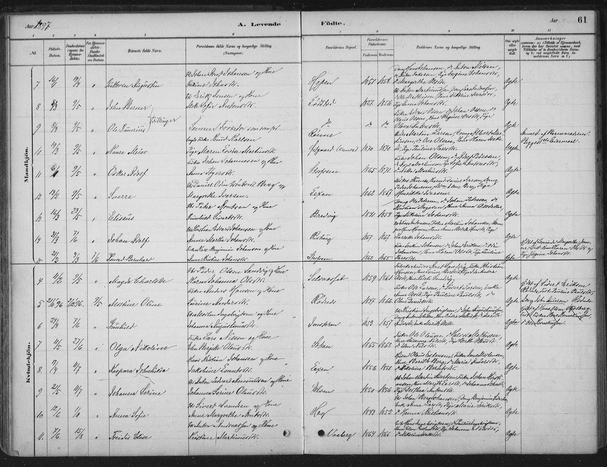 Ministerialprotokoller, klokkerbøker og fødselsregistre - Sør-Trøndelag, SAT/A-1456/662/L0755: Parish register (official) no. 662A01, 1879-1905, p. 61