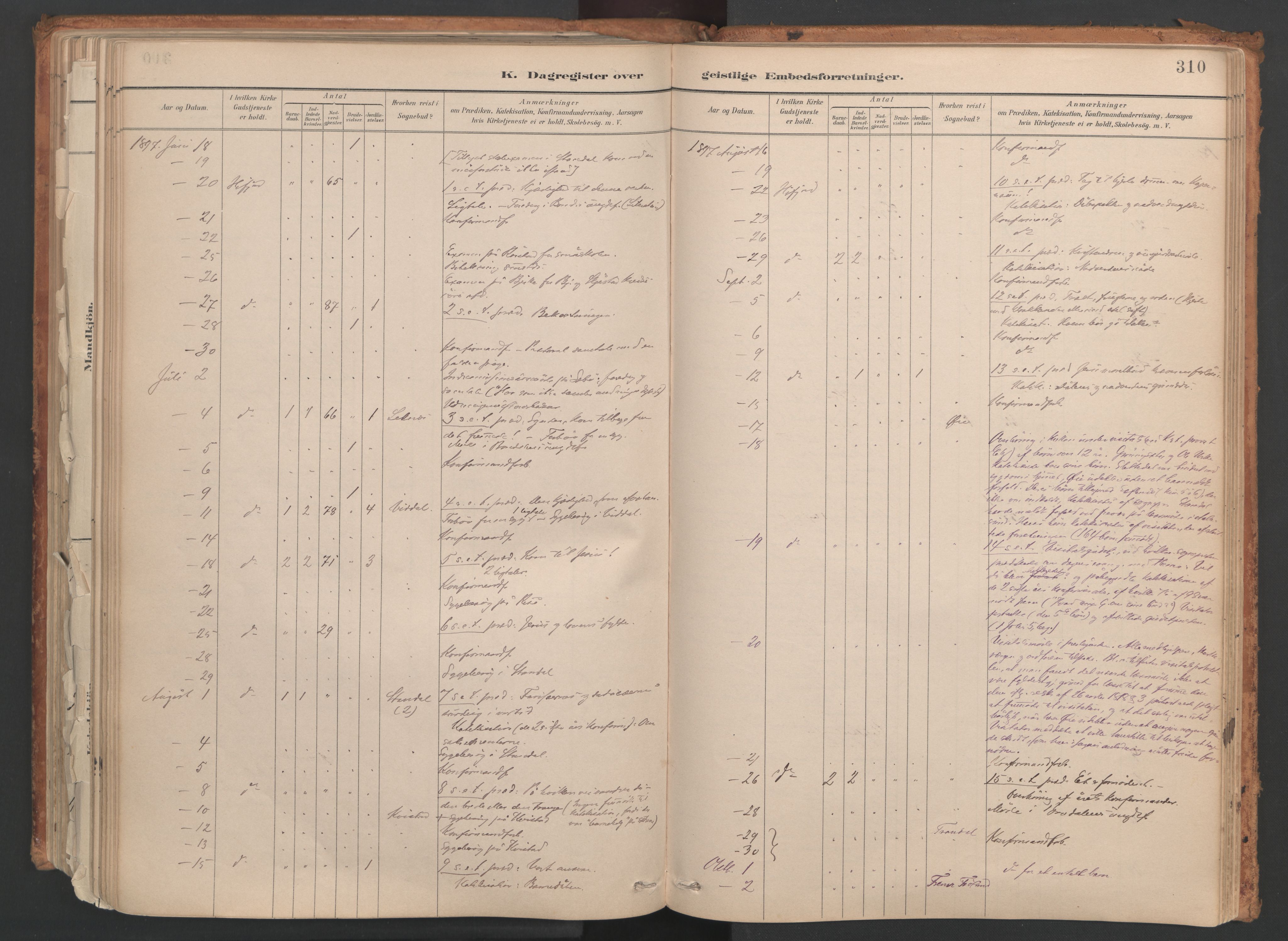 Ministerialprotokoller, klokkerbøker og fødselsregistre - Møre og Romsdal, SAT/A-1454/515/L0211: Parish register (official) no. 515A07, 1886-1910, p. 310