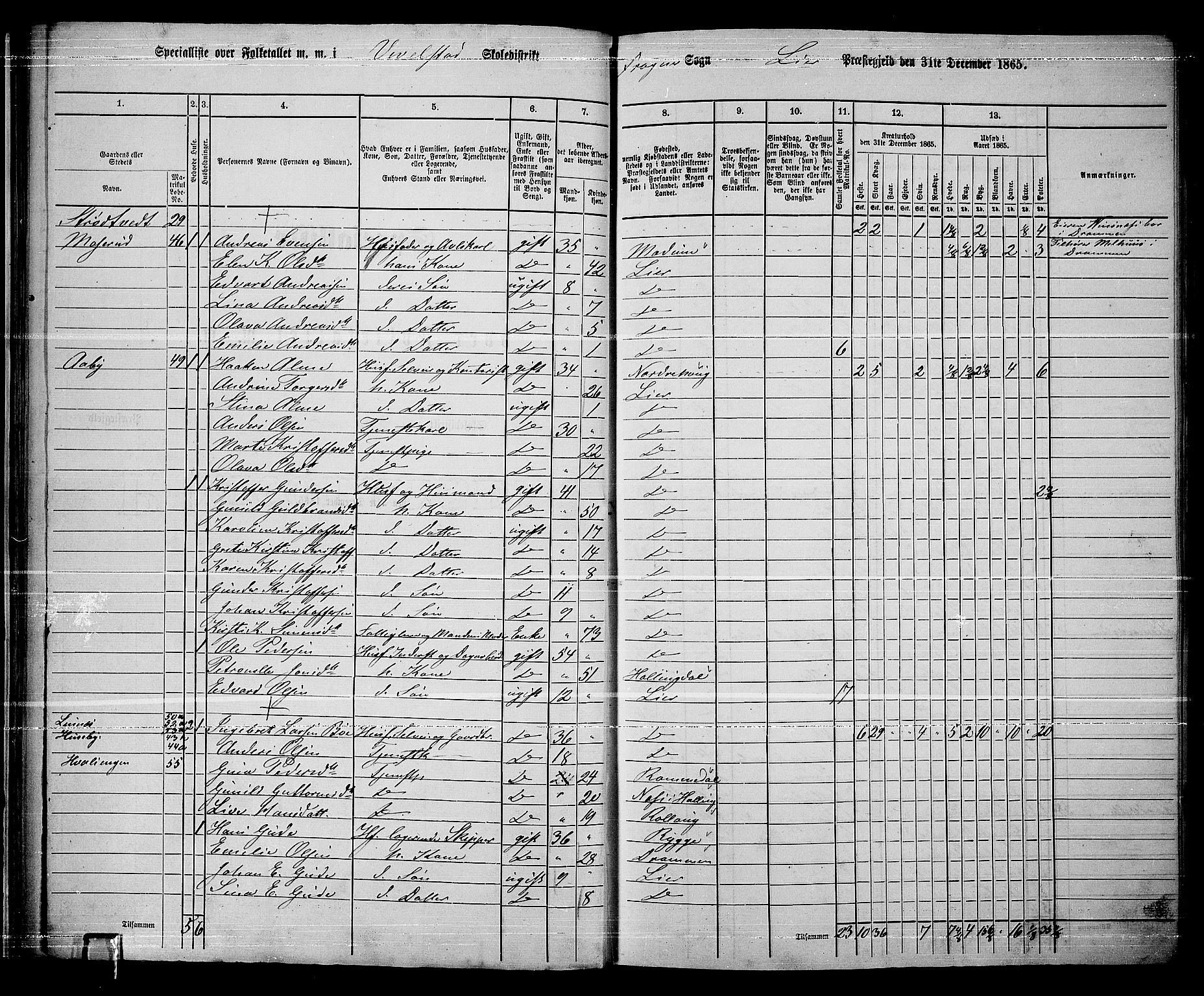 RA, 1865 census for Lier, 1865, p. 41