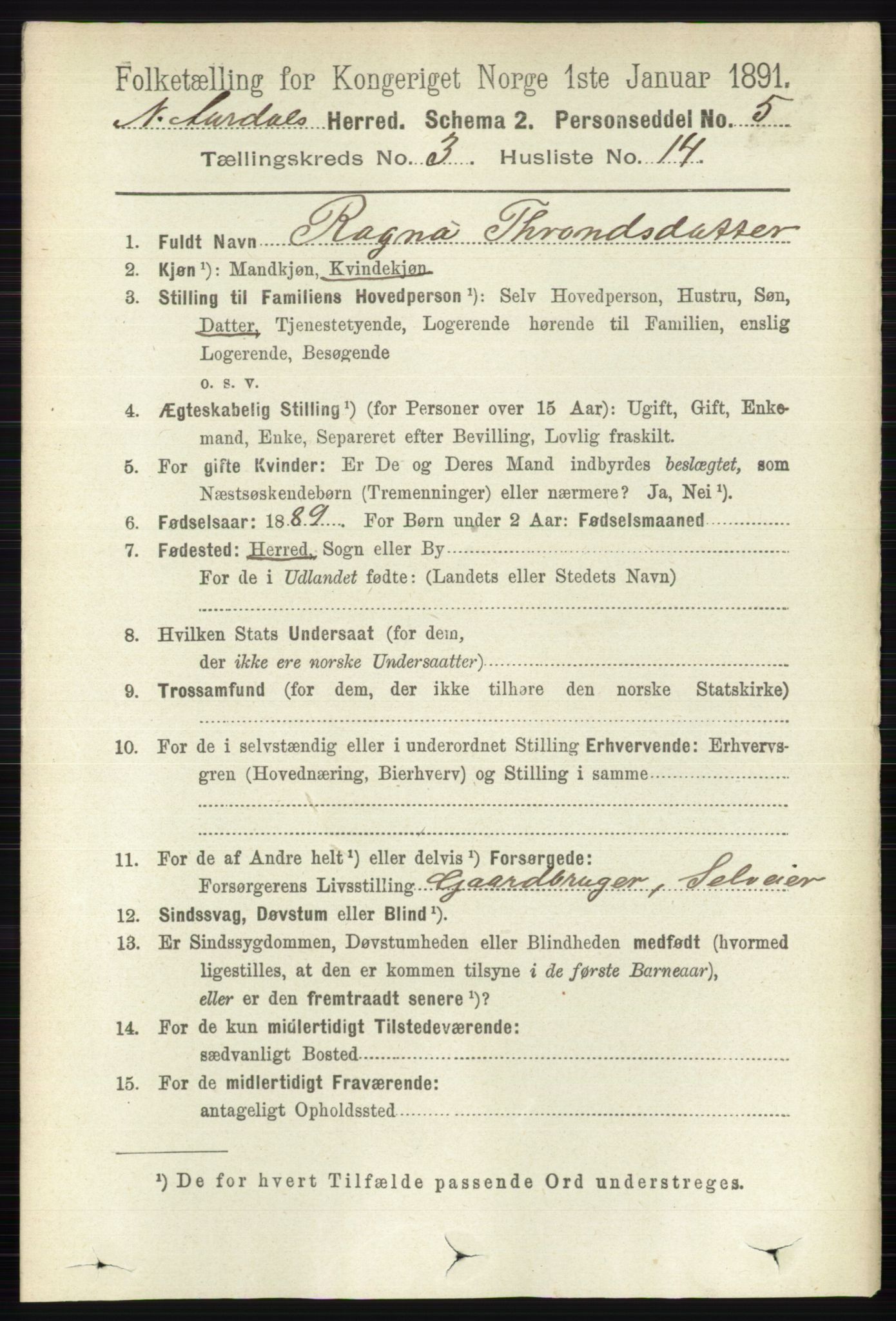 RA, 1891 census for 0542 Nord-Aurdal, 1891, p. 1017