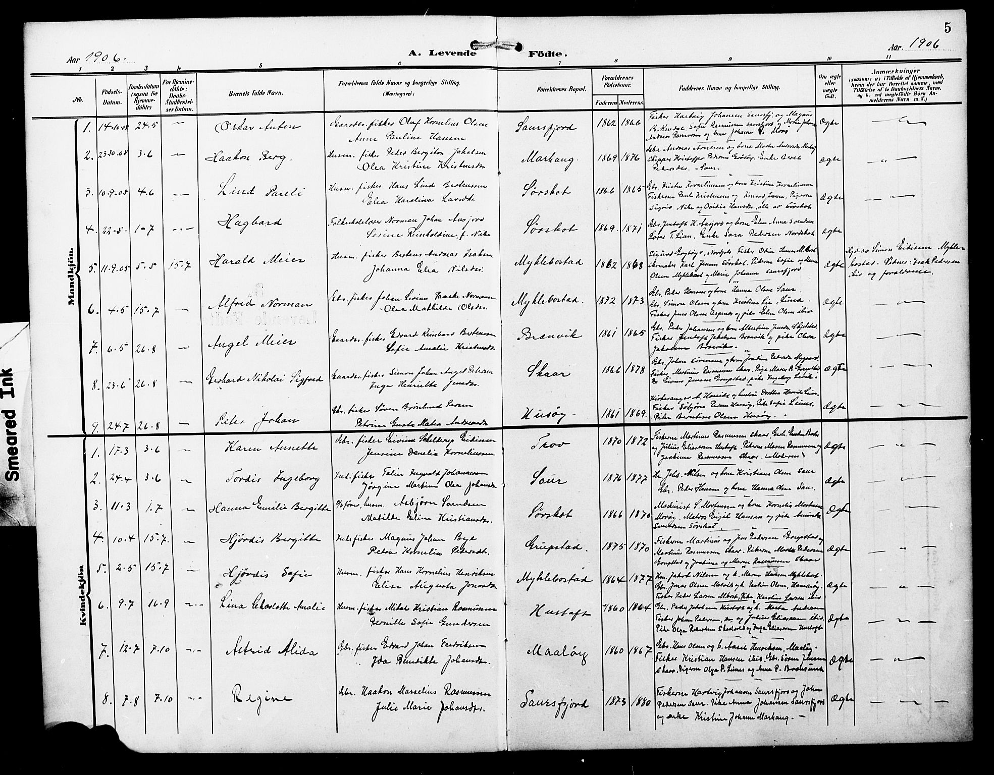 Ministerialprotokoller, klokkerbøker og fødselsregistre - Nordland, SAT/A-1459/857/L0829: Parish register (copy) no. 857C04, 1906-1916, p. 5