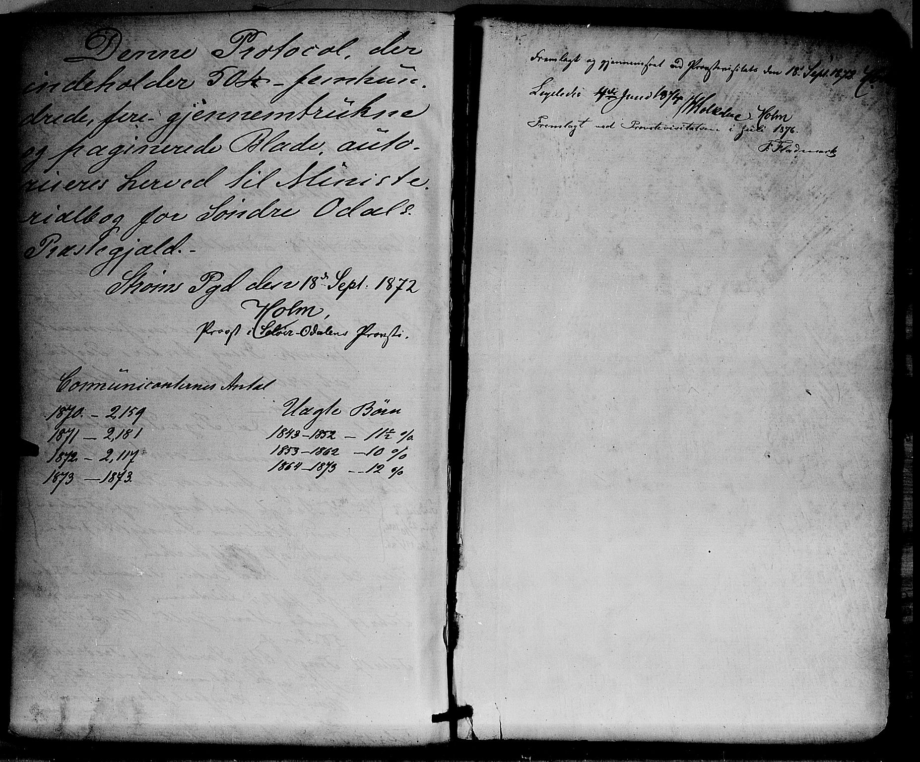 Sør-Odal prestekontor, AV/SAH-PREST-030/H/Ha/Haa/L0004: Parish register (official) no. 4, 1870-1875