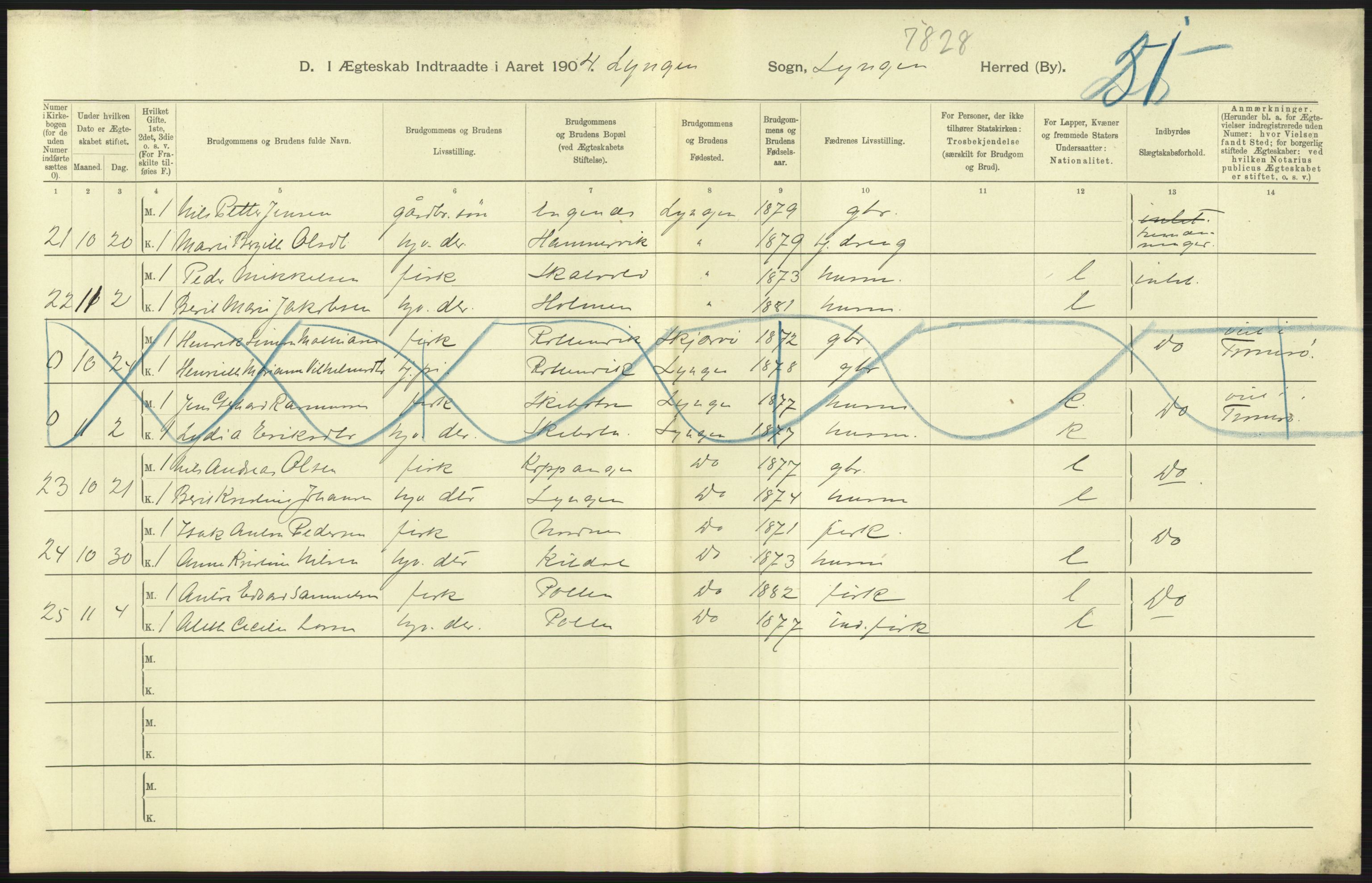 Statistisk sentralbyrå, Sosiodemografiske emner, Befolkning, AV/RA-S-2228/D/Df/Dfa/Dfab/L0022: Tromsø amt: Fødte, gifte, døde, 1904, p. 309