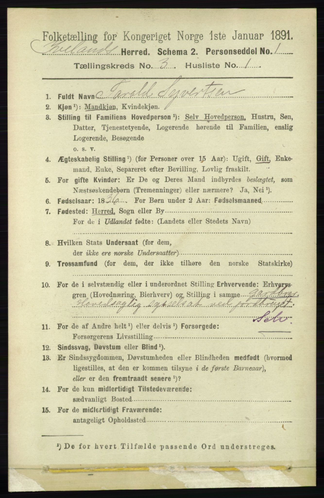 RA, 1891 census for 0935 Iveland, 1891, p. 729