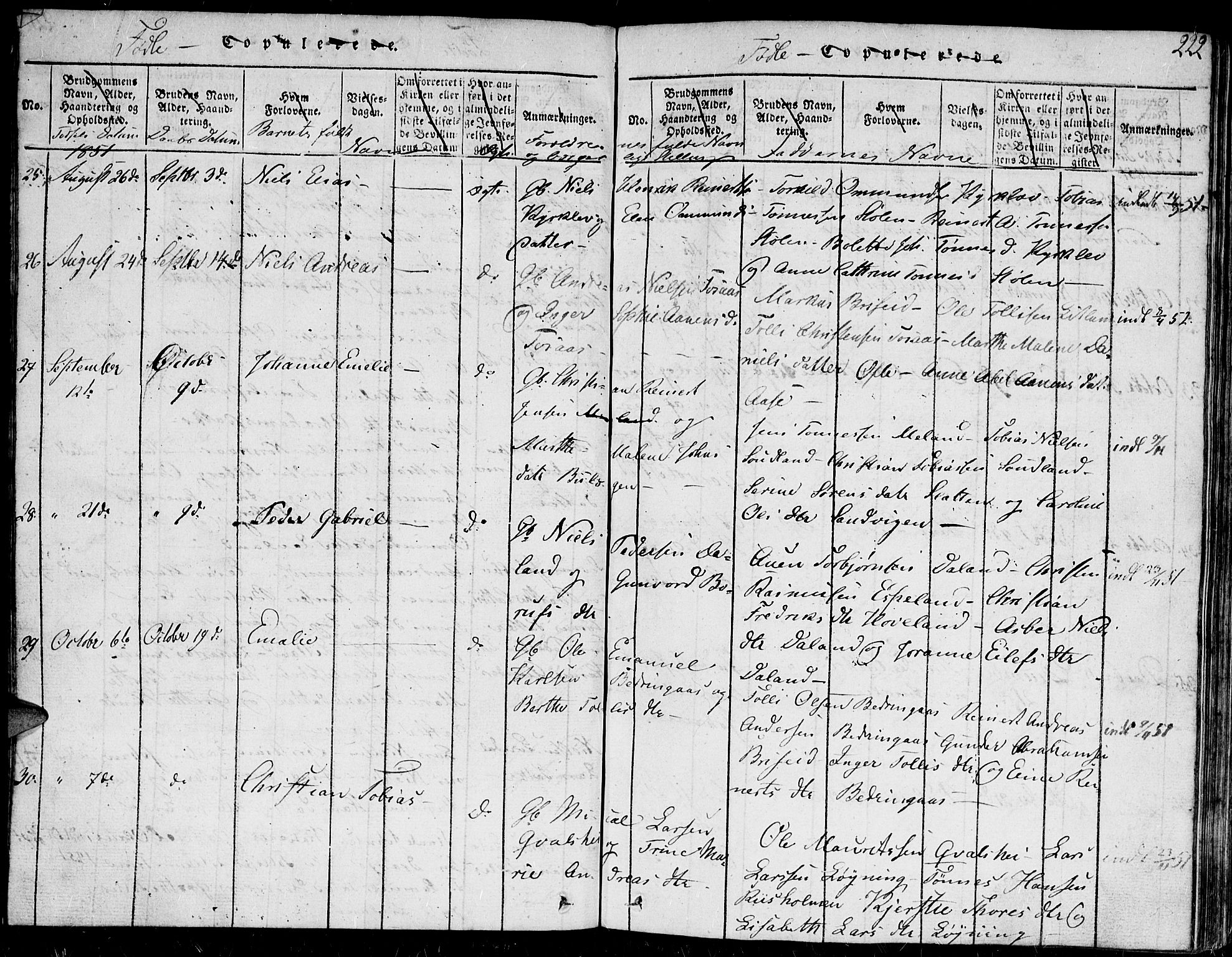 Herad sokneprestkontor, AV/SAK-1111-0018/F/Fb/Fba/L0001: Parish register (copy) no. B 1, 1815-1852, p. 222