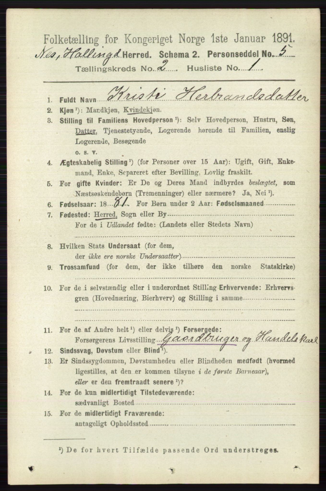 RA, 1891 census for 0616 Nes, 1891, p. 995