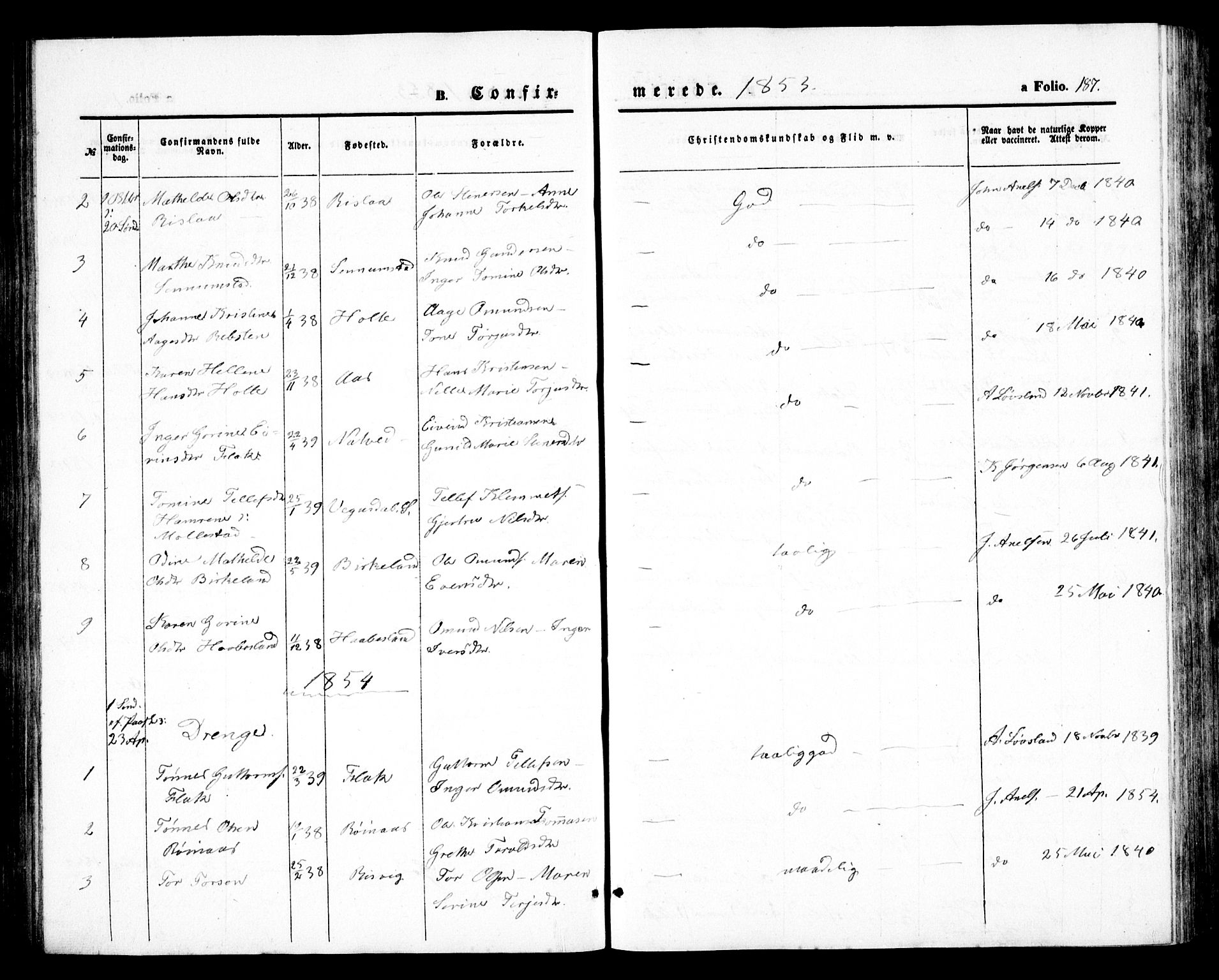 Birkenes sokneprestkontor, SAK/1111-0004/F/Fb/L0002: Parish register (copy) no. B 2, 1849-1876, p. 187