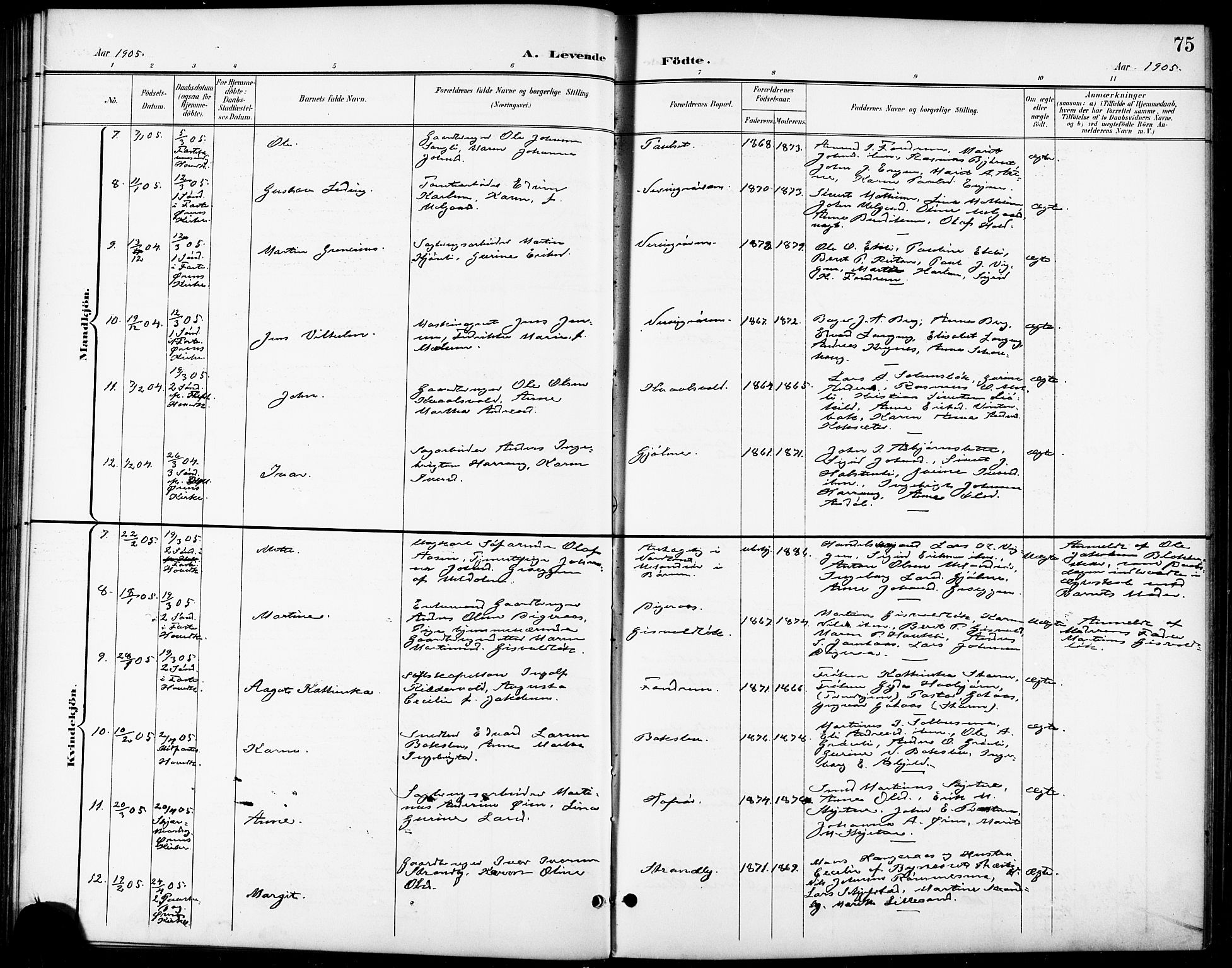 Ministerialprotokoller, klokkerbøker og fødselsregistre - Sør-Trøndelag, SAT/A-1456/668/L0819: Parish register (copy) no. 668C08, 1899-1912, p. 75