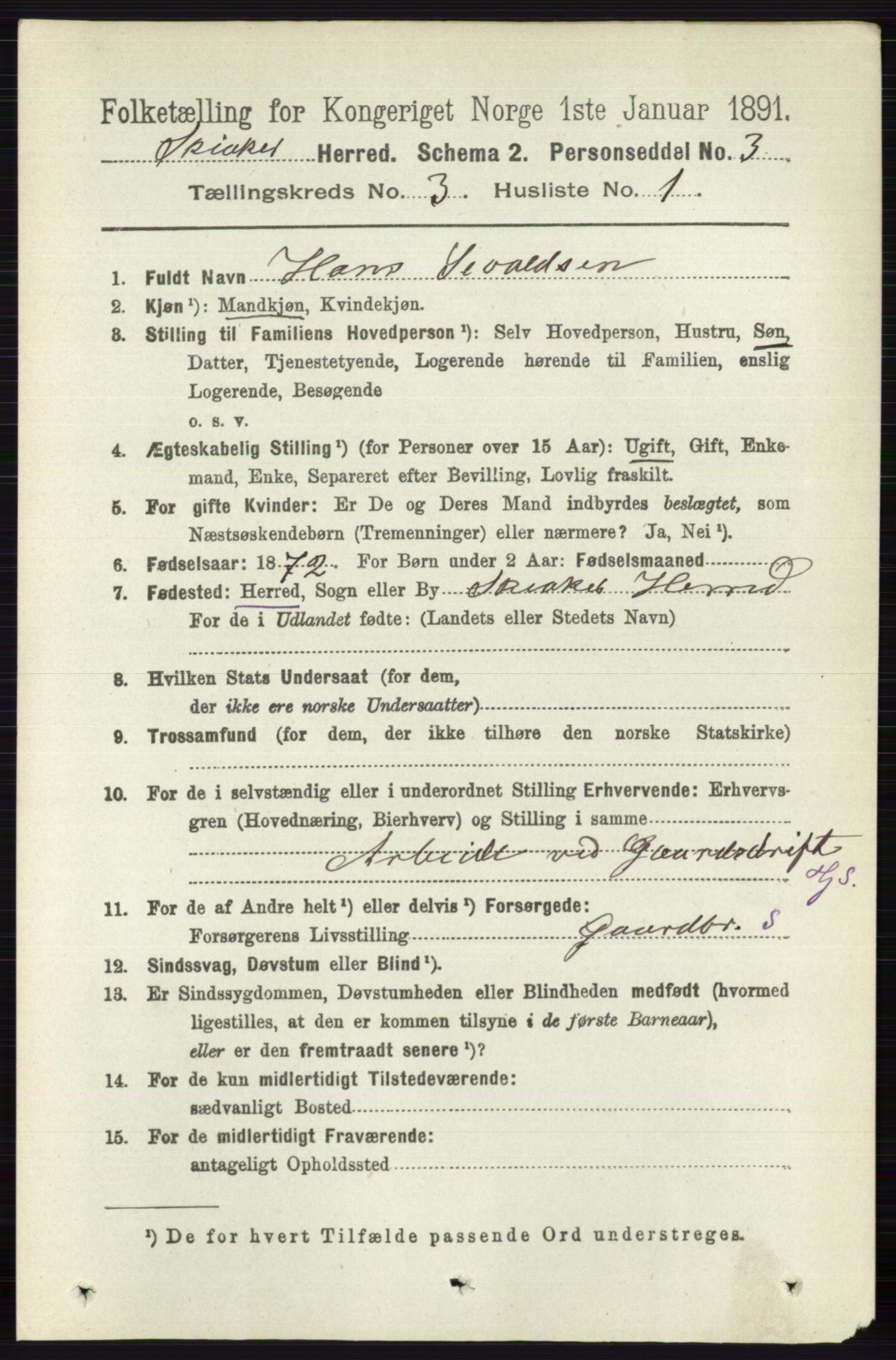 RA, 1891 census for 0513 Skjåk, 1891, p. 951