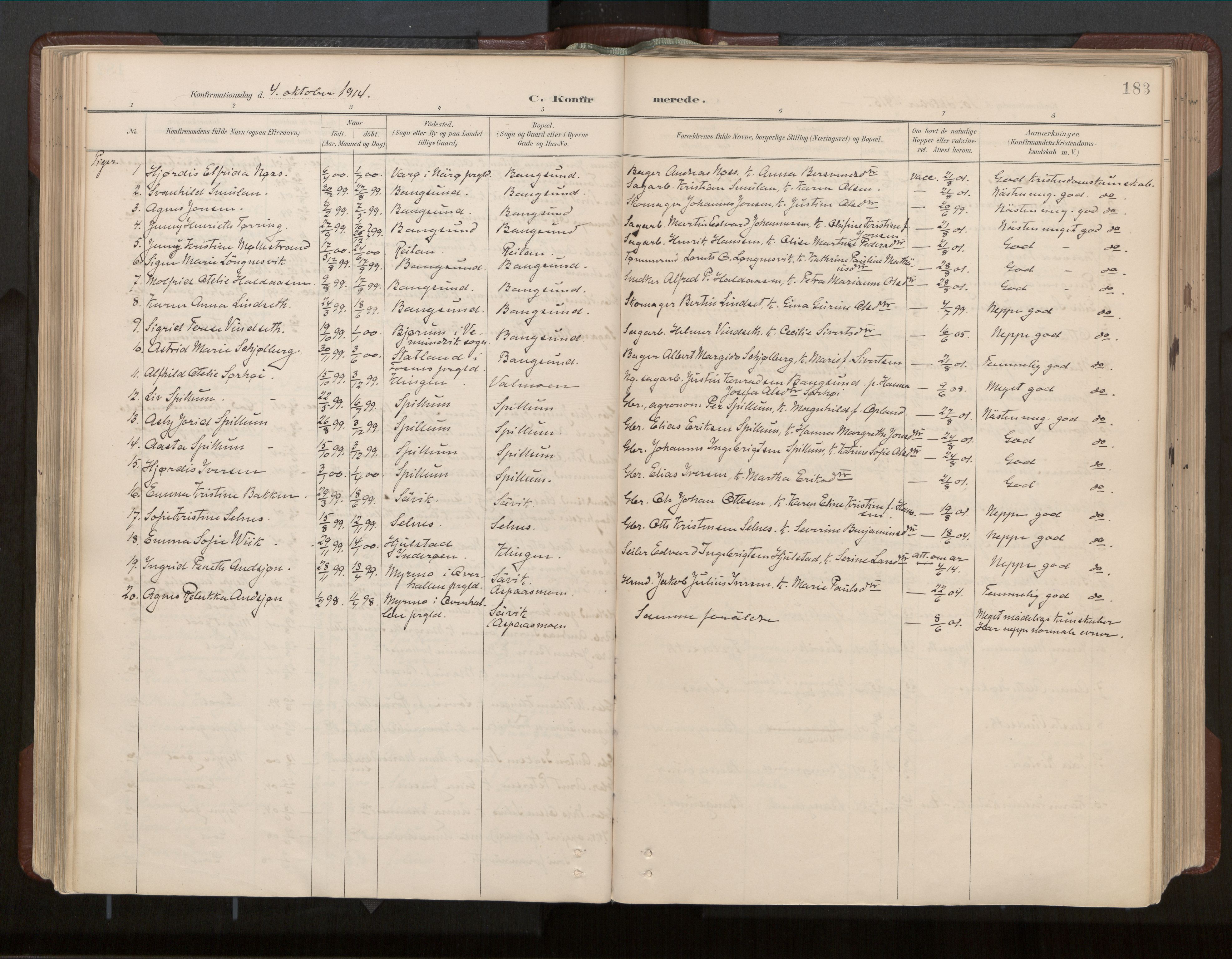 Ministerialprotokoller, klokkerbøker og fødselsregistre - Nord-Trøndelag, SAT/A-1458/770/L0589: Parish register (official) no. 770A03, 1887-1929, p. 183