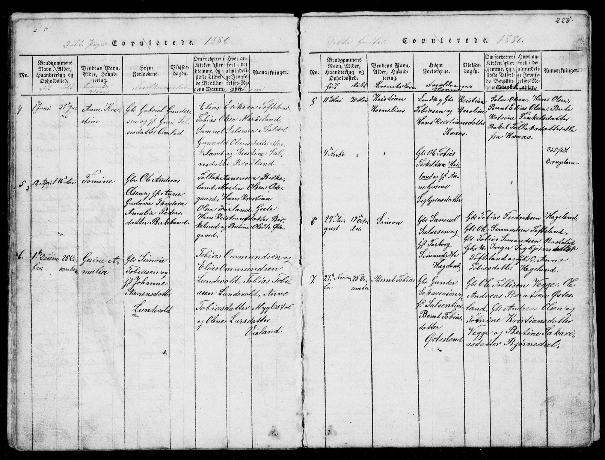 Lyngdal sokneprestkontor, AV/SAK-1111-0029/F/Fb/Fbb/L0001: Parish register (copy) no. B 1, 1816-1900, p. 225