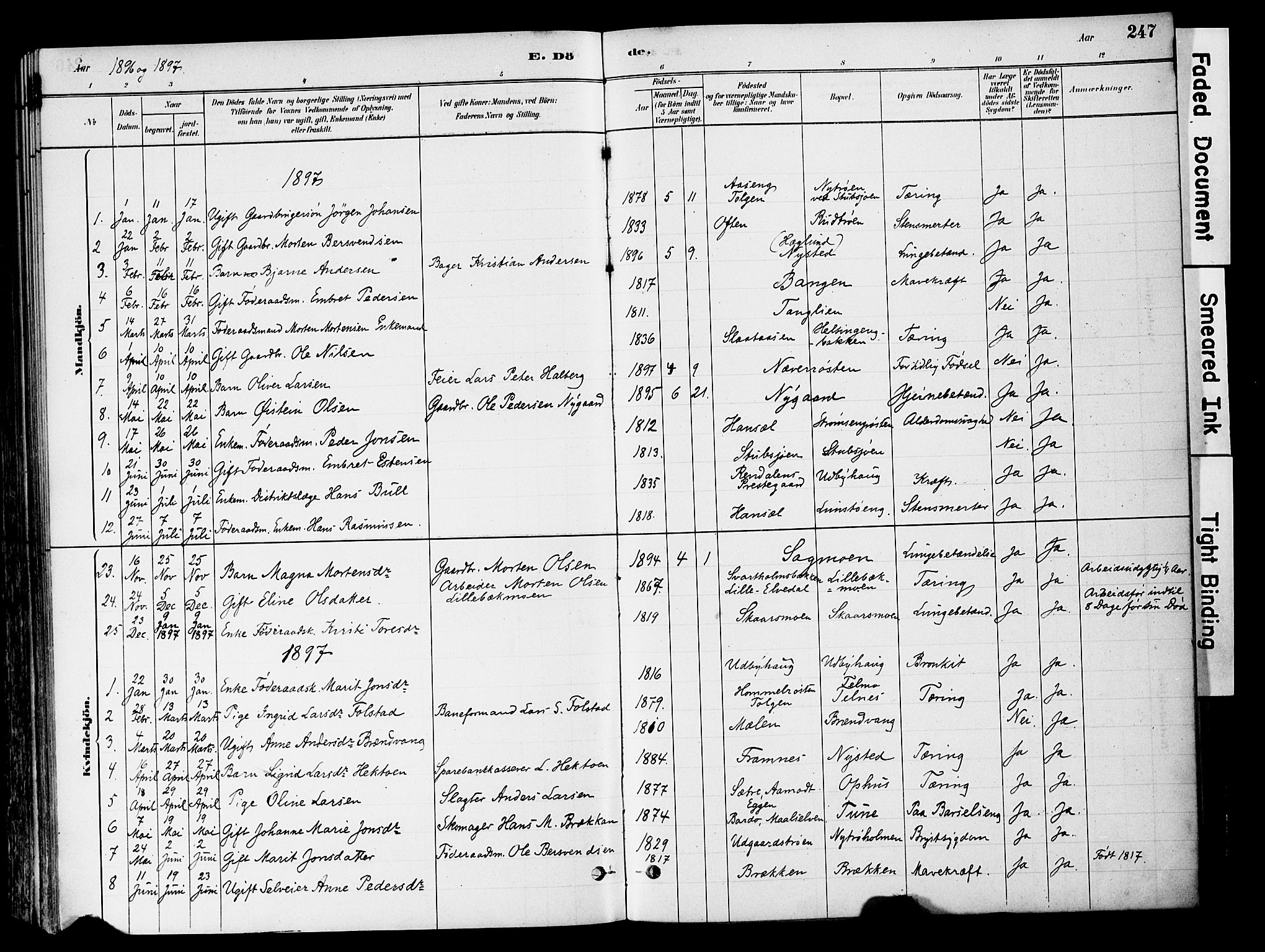 Tynset prestekontor, SAH/PREST-058/H/Ha/Haa/L0022: Parish register (official) no. 22, 1880-1899, p. 247
