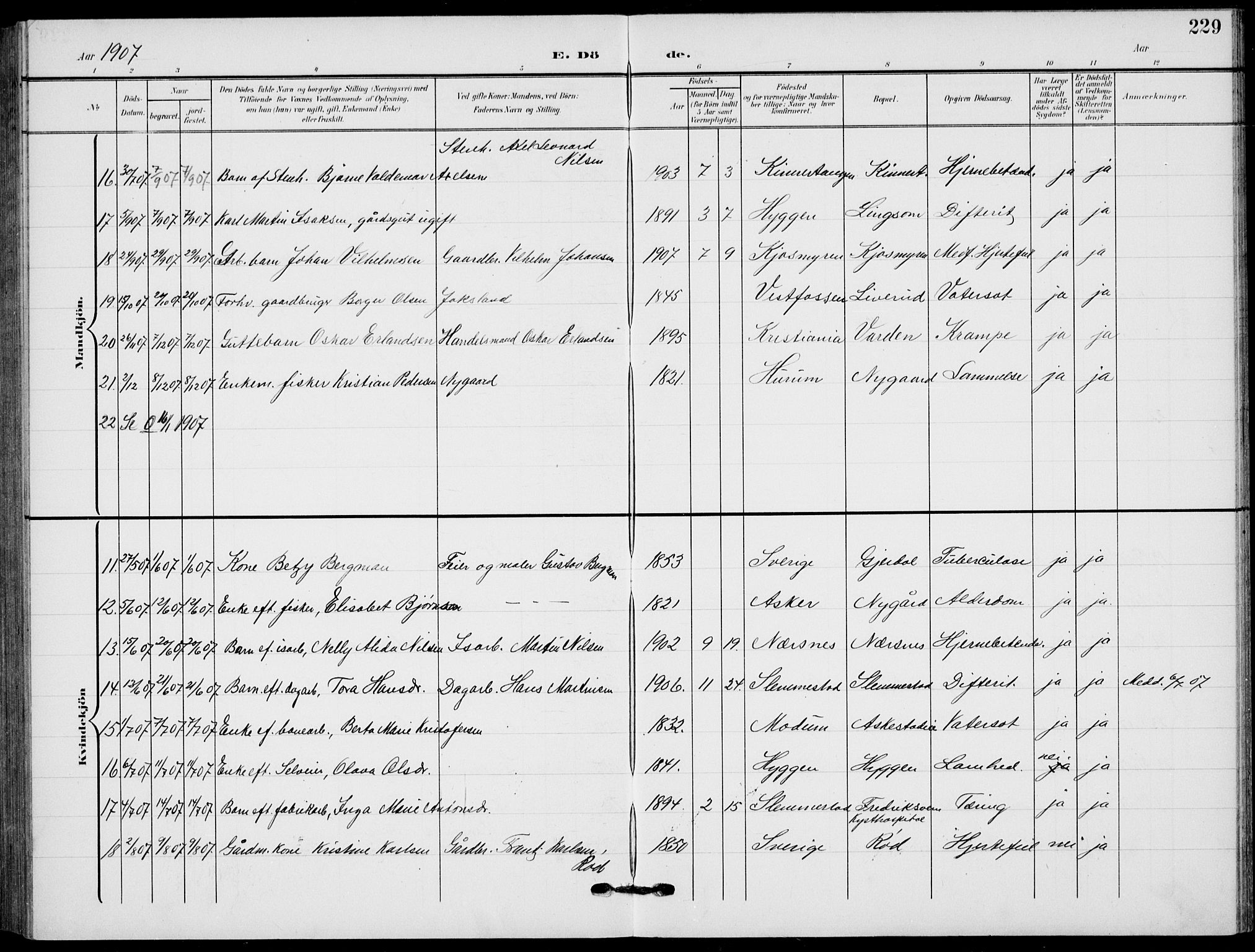 Røyken kirkebøker, SAKO/A-241/G/Ga/L0005: Parish register (copy) no. 5, 1903-1918, p. 229