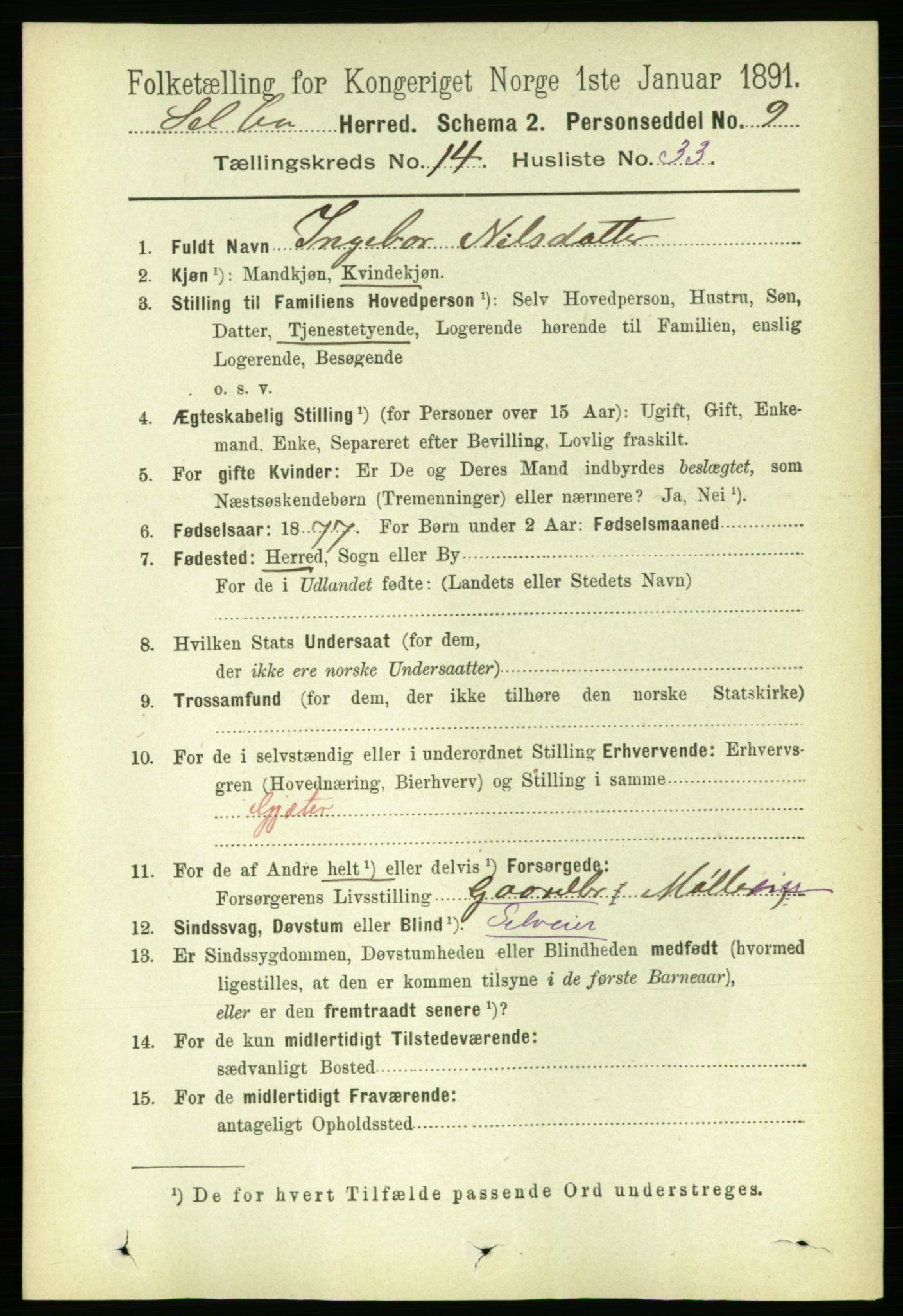 RA, 1891 census for 1664 Selbu, 1891, p. 5300