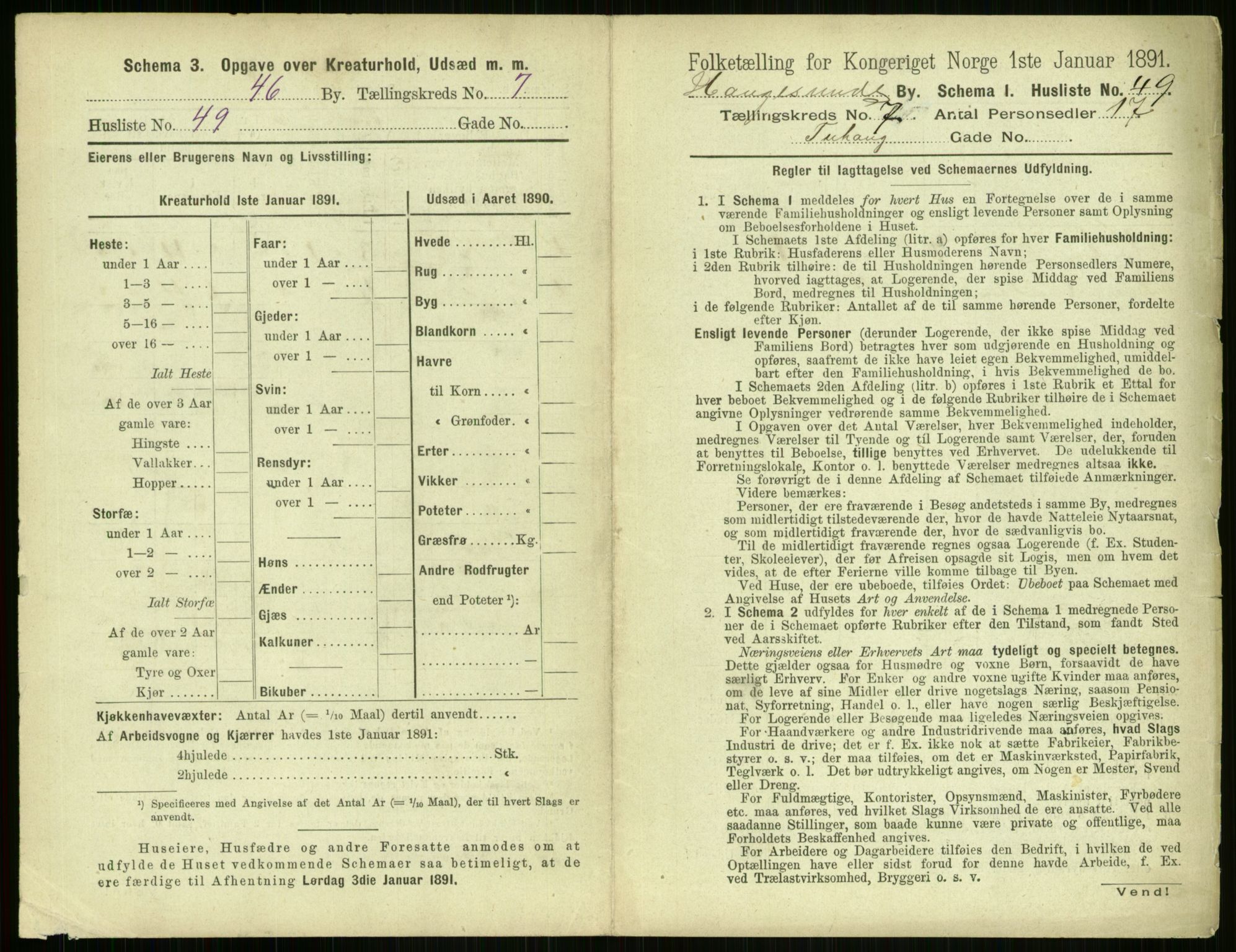 RA, 1891 census for 1106 Haugesund, 1891, p. 569
