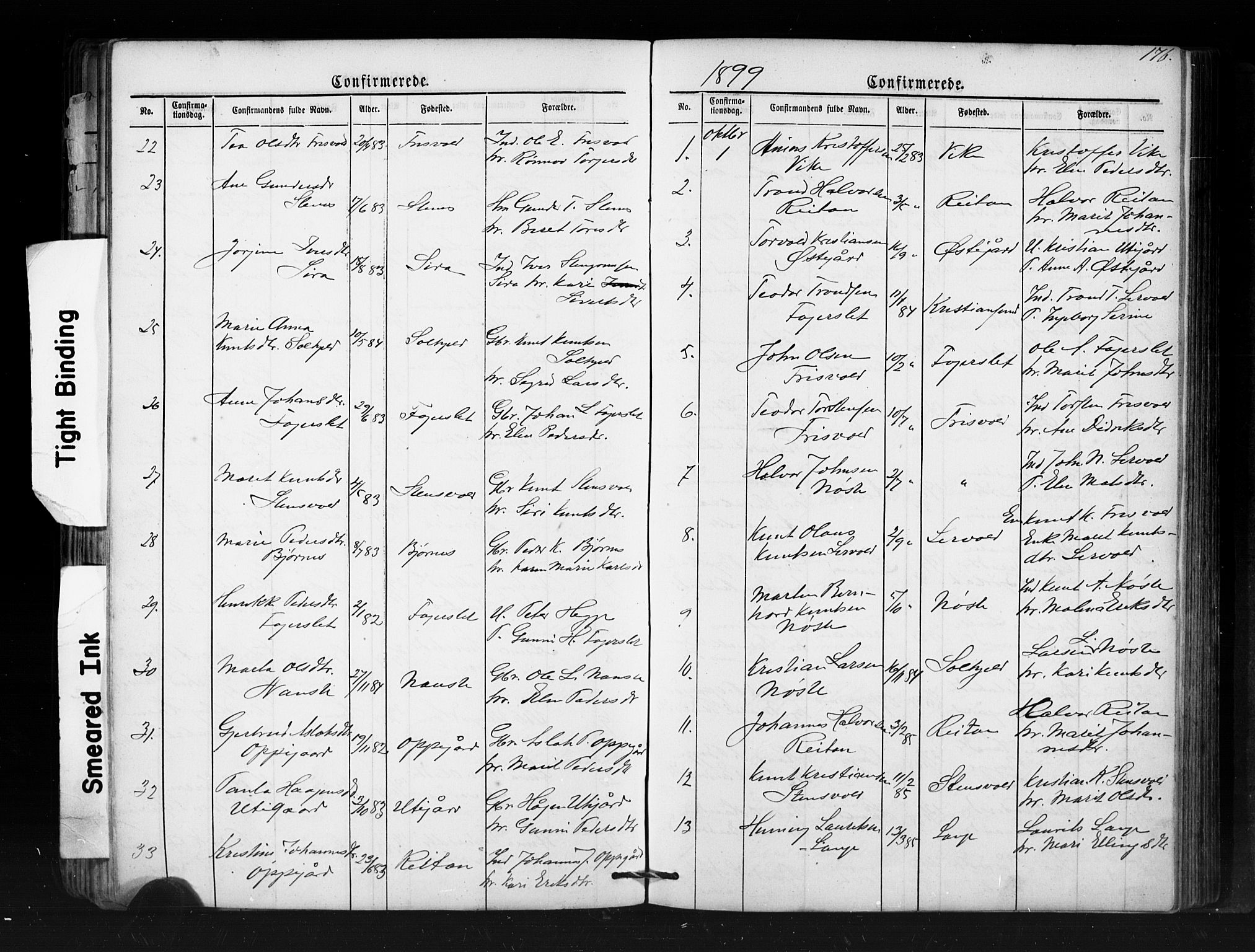 Ministerialprotokoller, klokkerbøker og fødselsregistre - Møre og Romsdal, SAT/A-1454/552/L0638: Parish register (copy) no. 552C01, 1867-1902, p. 176