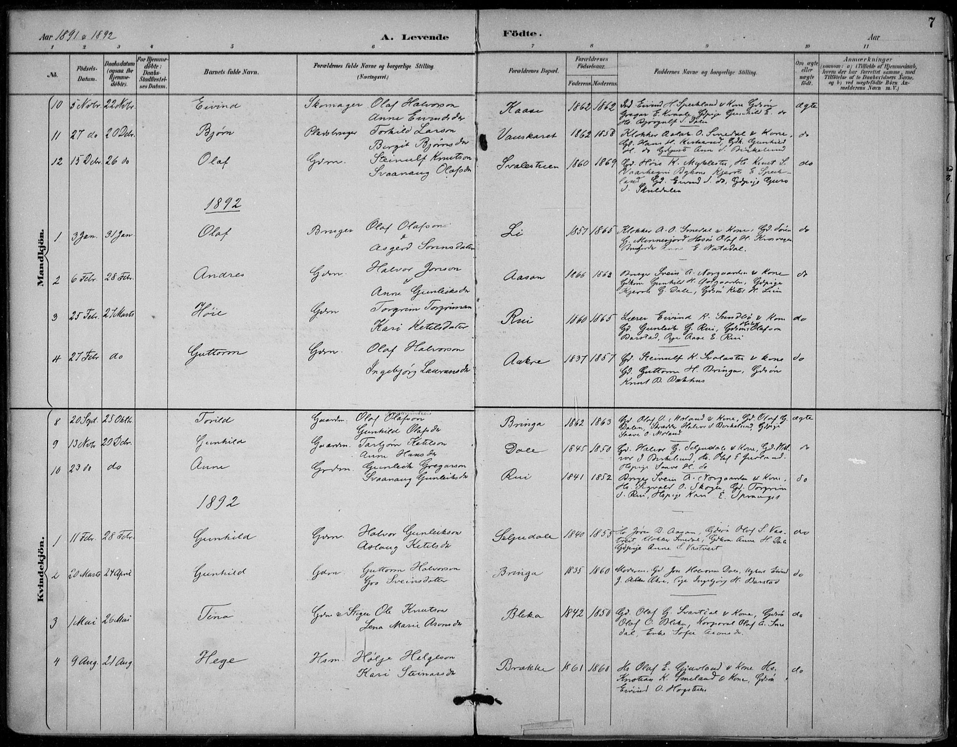 Seljord kirkebøker, SAKO/A-20/F/Fb/L0002: Parish register (official) no. II 2, 1887-1917, p. 7