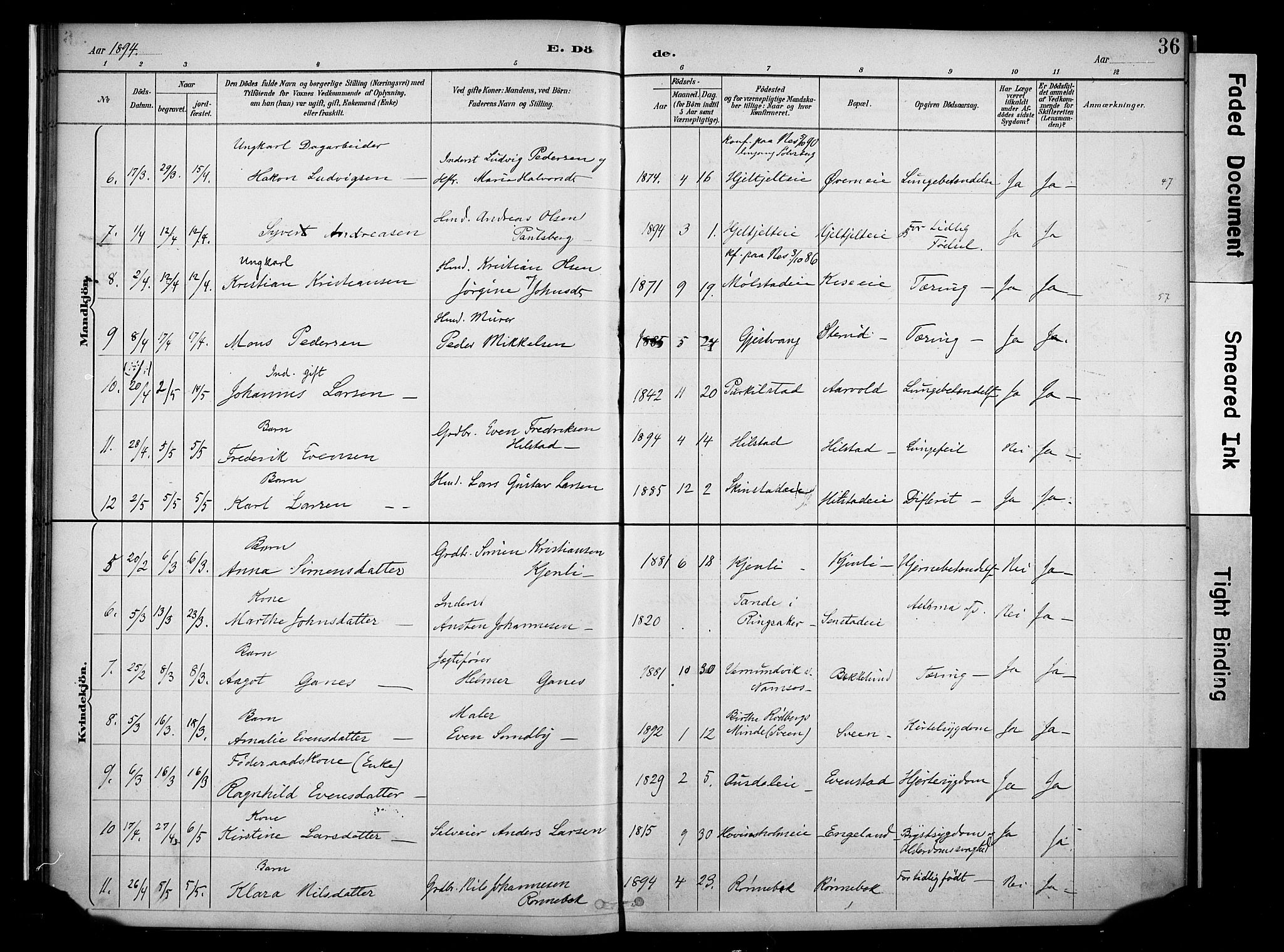 Nes prestekontor, Hedmark, AV/SAH-PREST-020/K/Ka/L0011: Parish register (official) no. 11, 1887-1905, p. 36